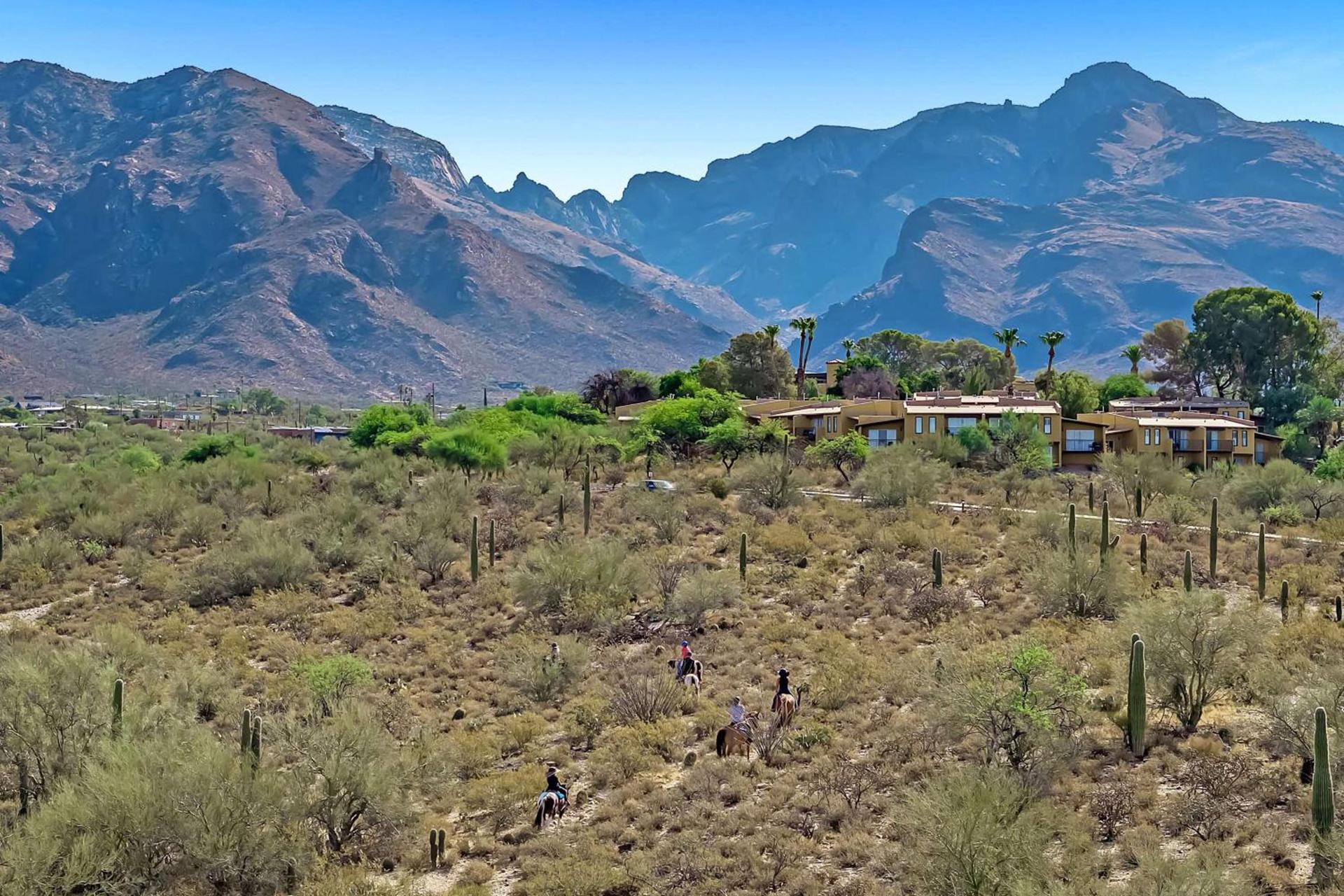 Westward Look Wyndham Grand Resort & Spa photo 15