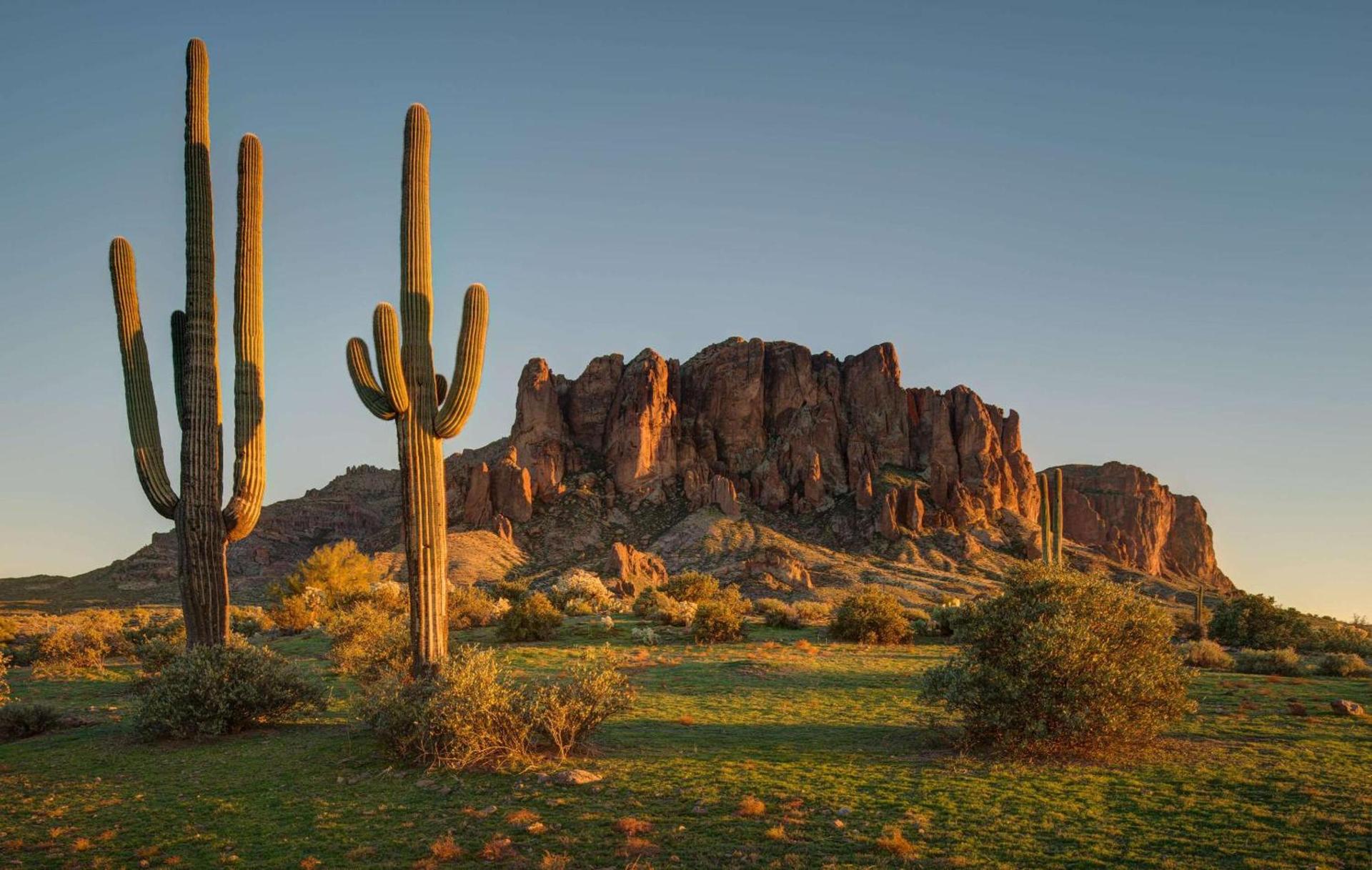 Hilton Garden Inn North Phoenix Scottsdale photo 20