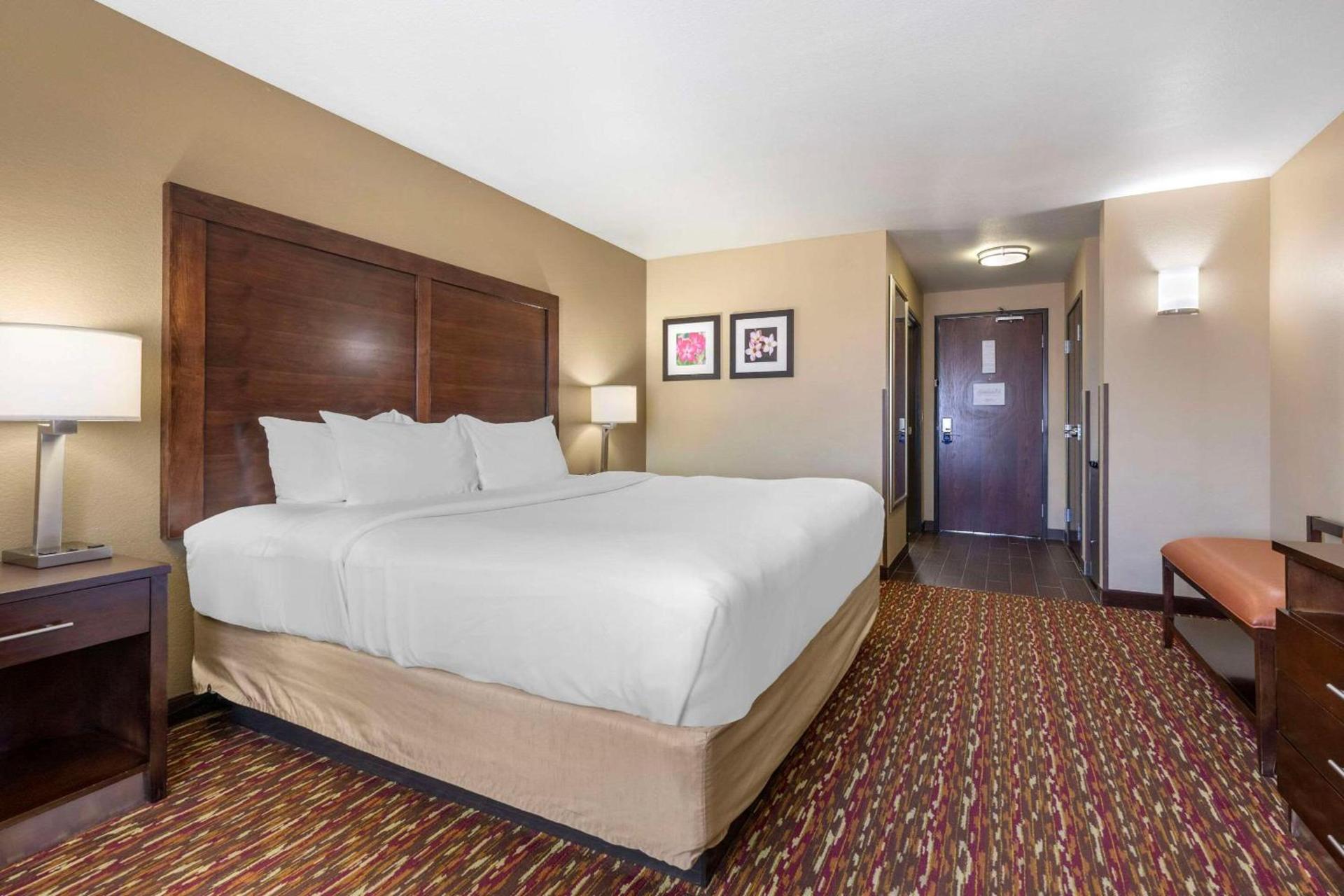 Comfort Inn & Suites Artesia photo 9