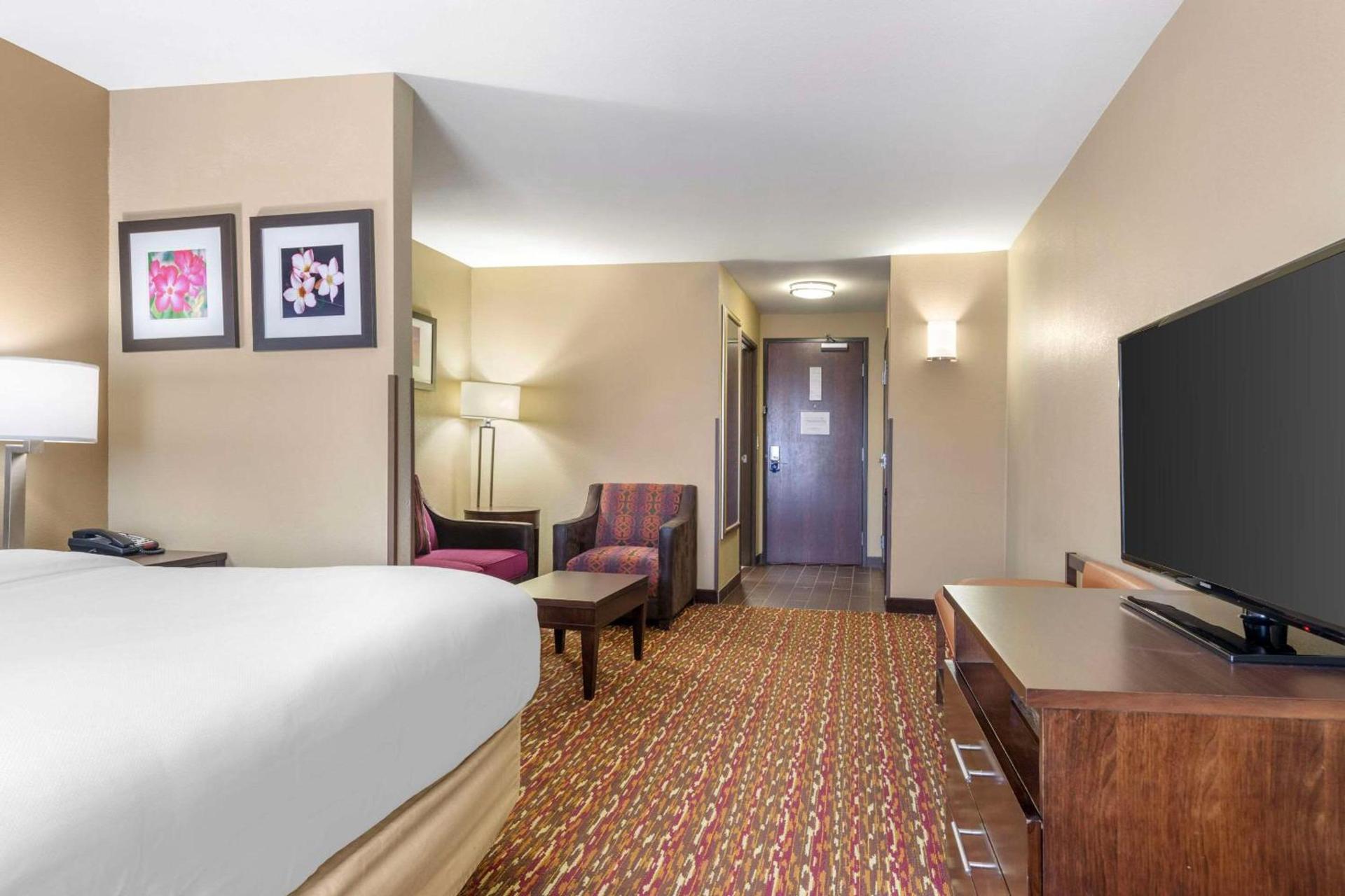 Comfort Inn & Suites Artesia photo 13