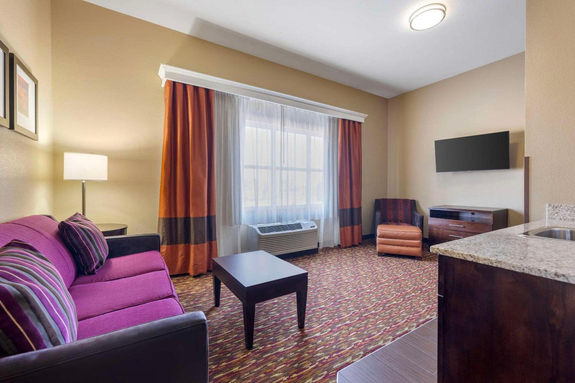 Comfort Inn & Suites Artesia photo 11