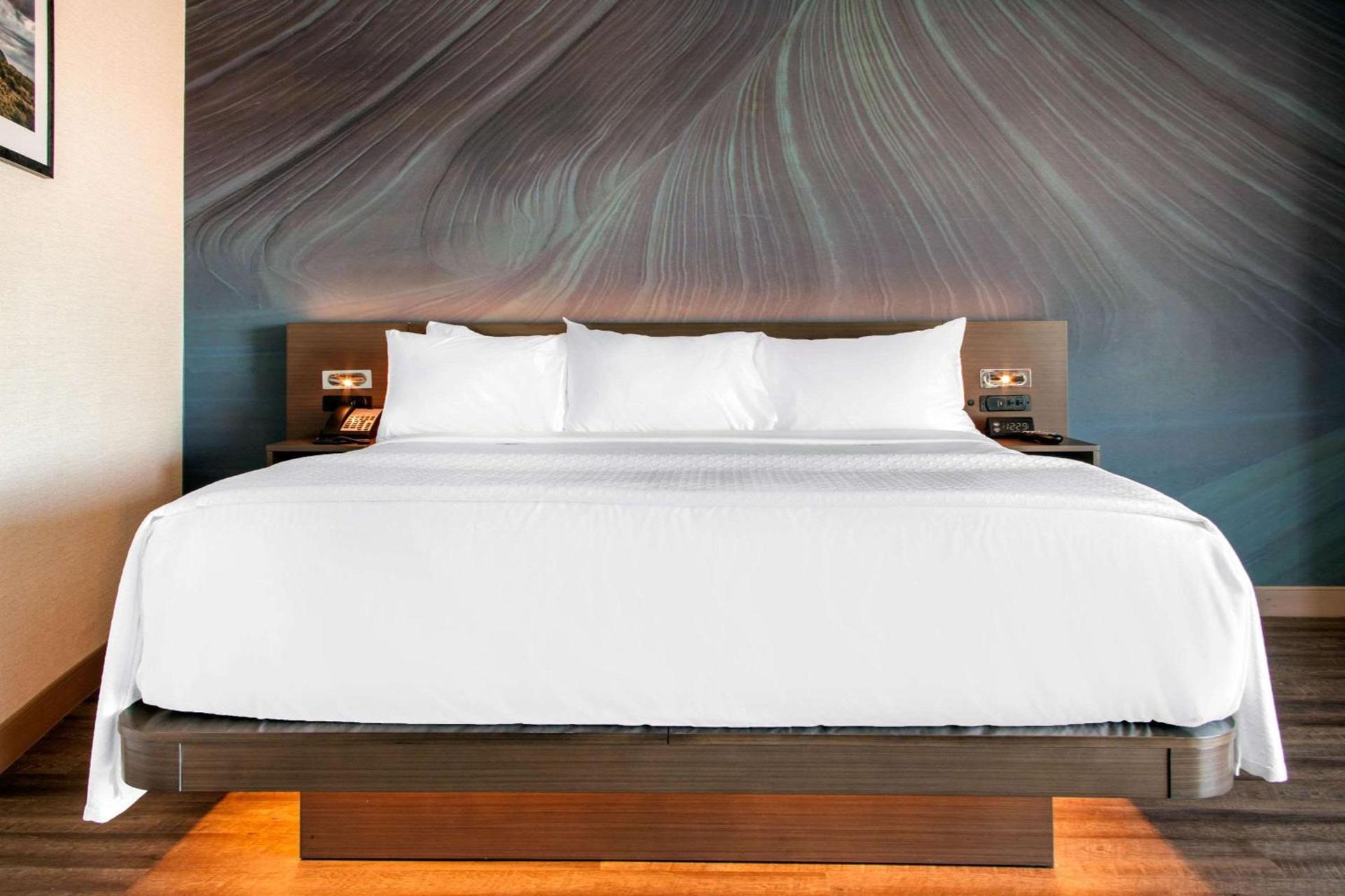 Hilton Garden Inn North Phoenix Scottsdale photo 10