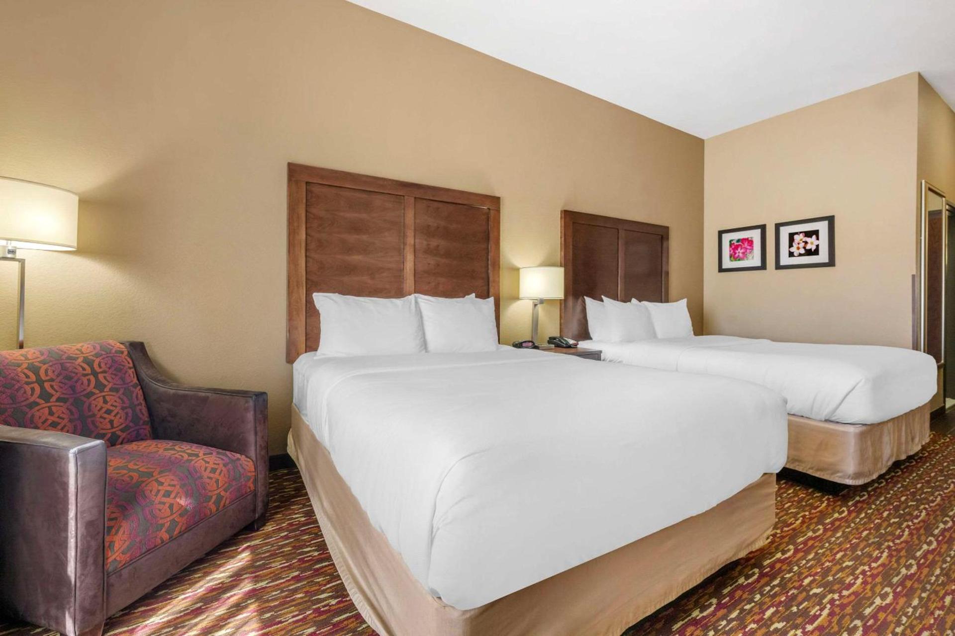 Comfort Inn & Suites Artesia photo 5
