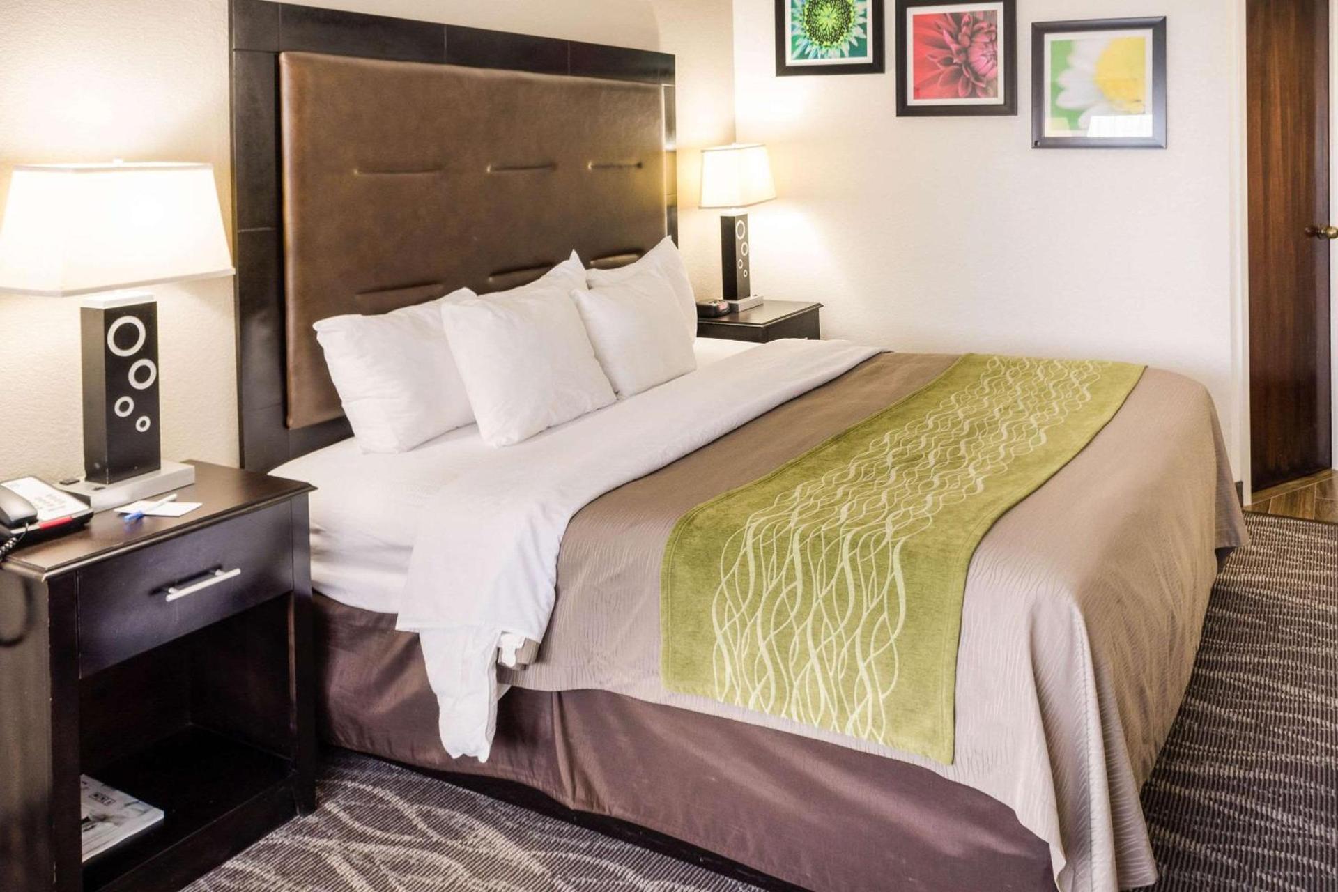 Fairfield by Marriott Inn & Suites Charleston Downtown photo 4