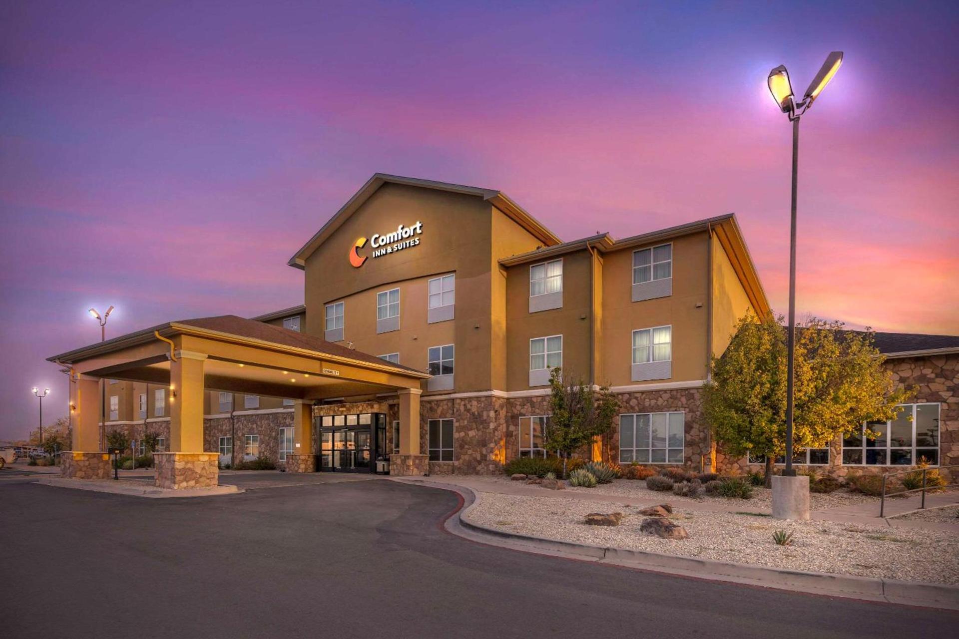 Comfort Inn & Suites Artesia photo 2