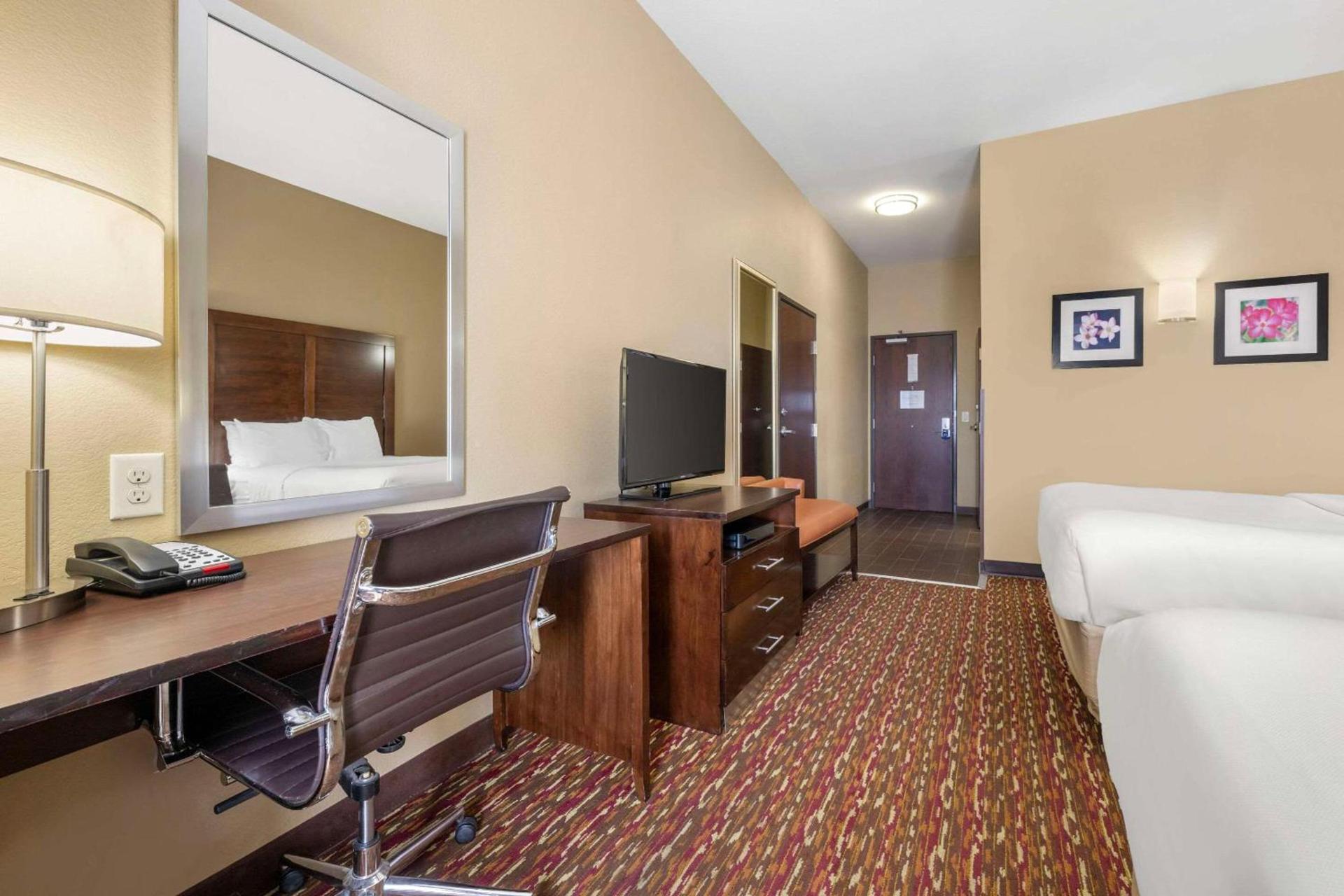 Comfort Inn & Suites Artesia photo 6