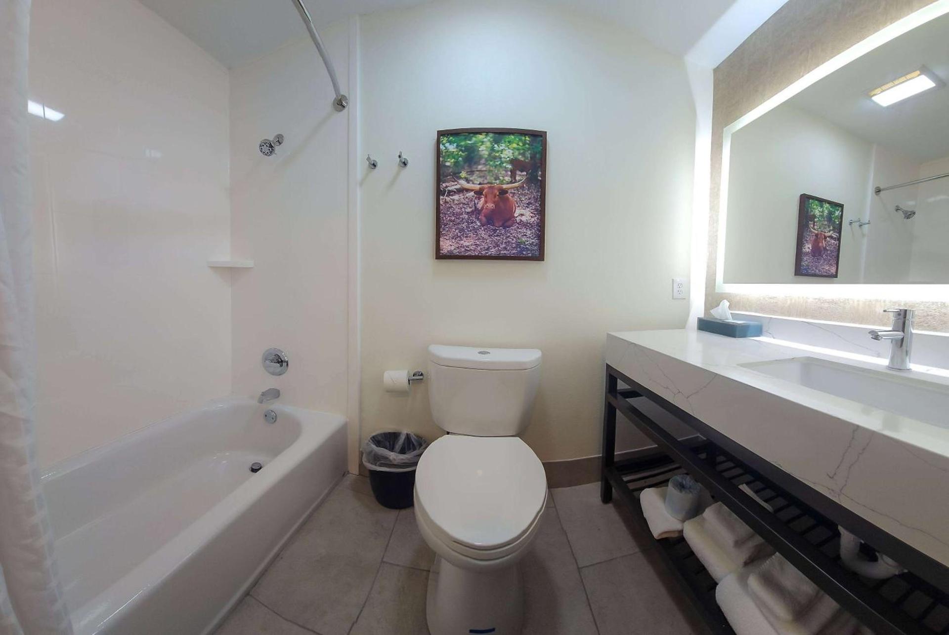 La Quinta by Wyndham Dallas Mesquite photo 17