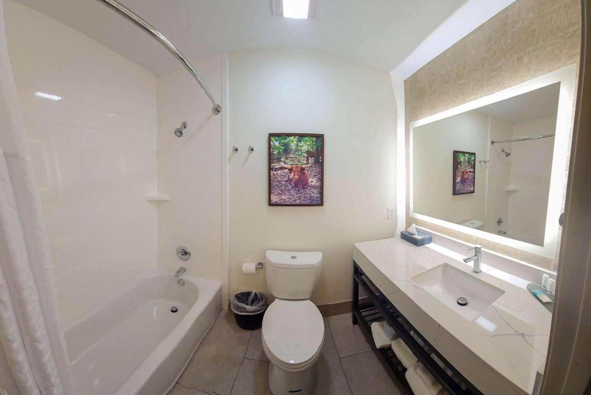 La Quinta by Wyndham Dallas Mesquite photo 18
