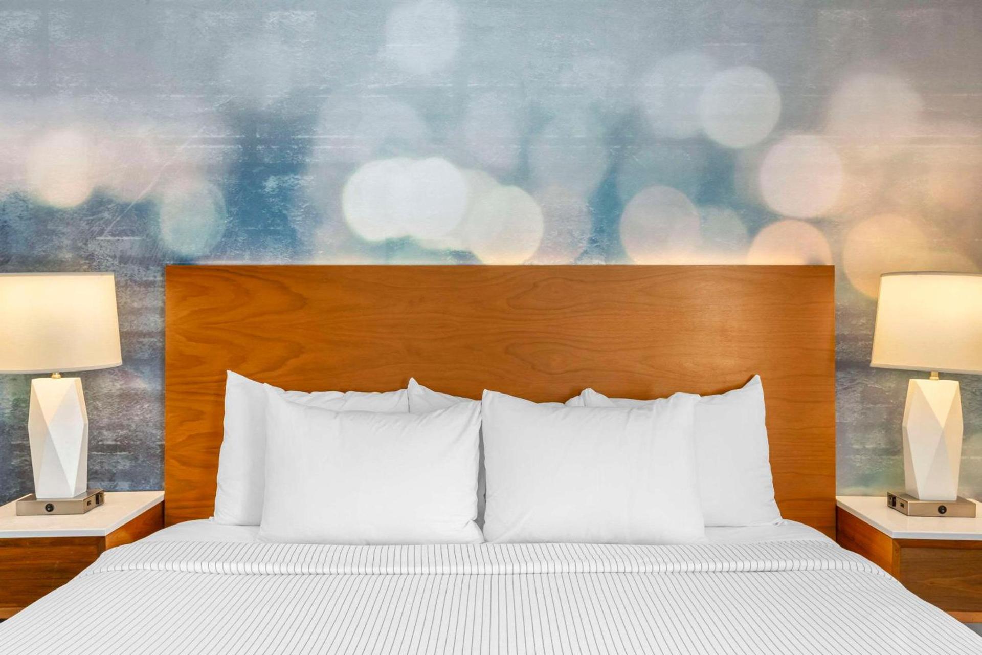 Cambria Hotel LAX photo 12