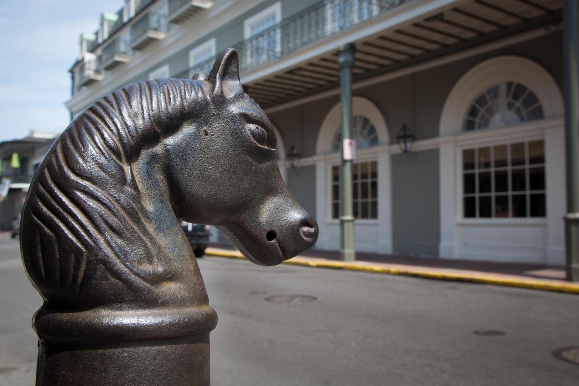 Bourbon Orleans Hotel photo 22