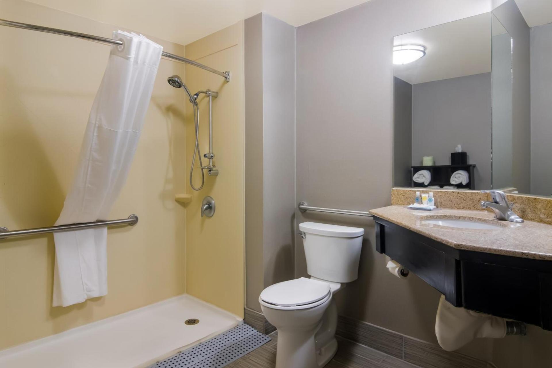 Comfort Inn Cadillac photo 26