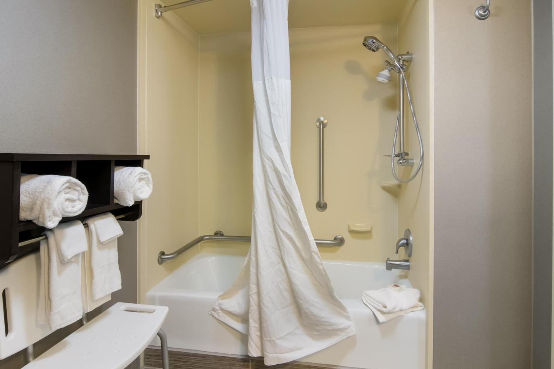 Comfort Inn Cadillac photo 28