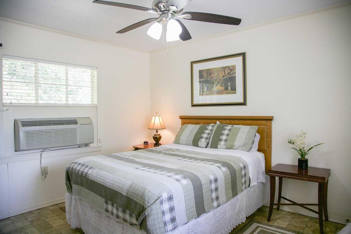 Shiner Country Inn photo 29