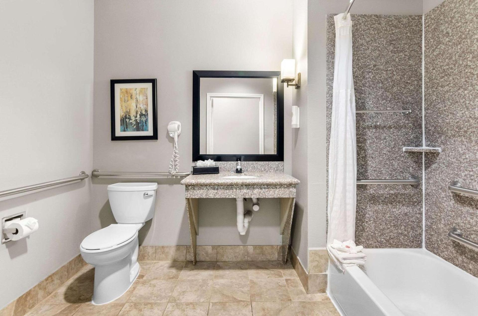 Comfort Suites at Katy Mills photo 8