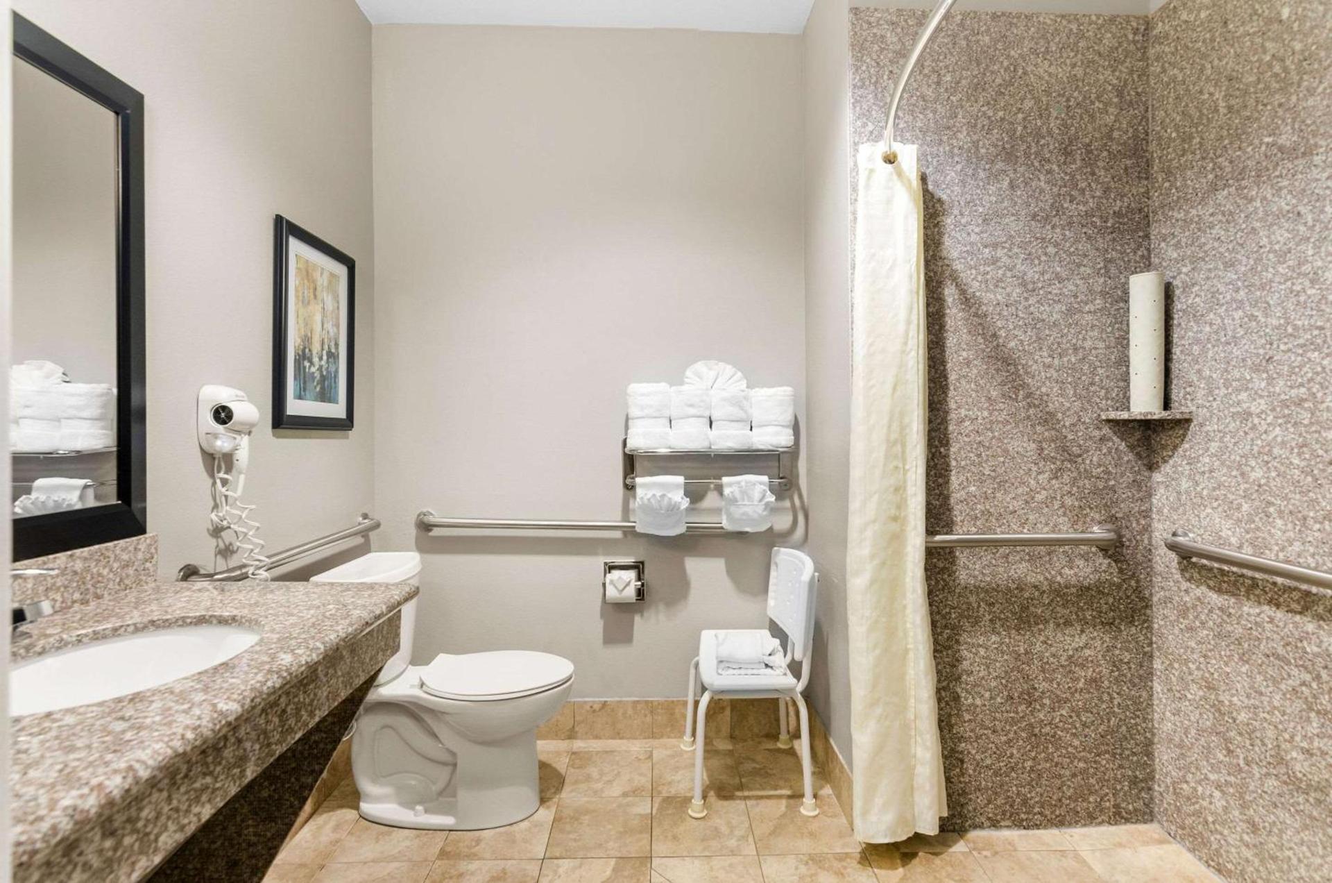 Comfort Suites at Katy Mills photo 9