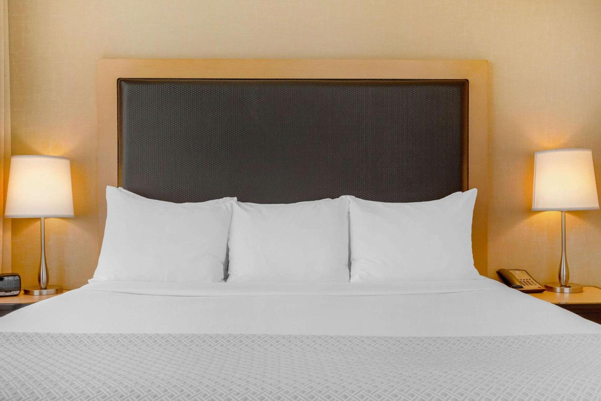 Cambria Hotel Denver International Airport photo 27