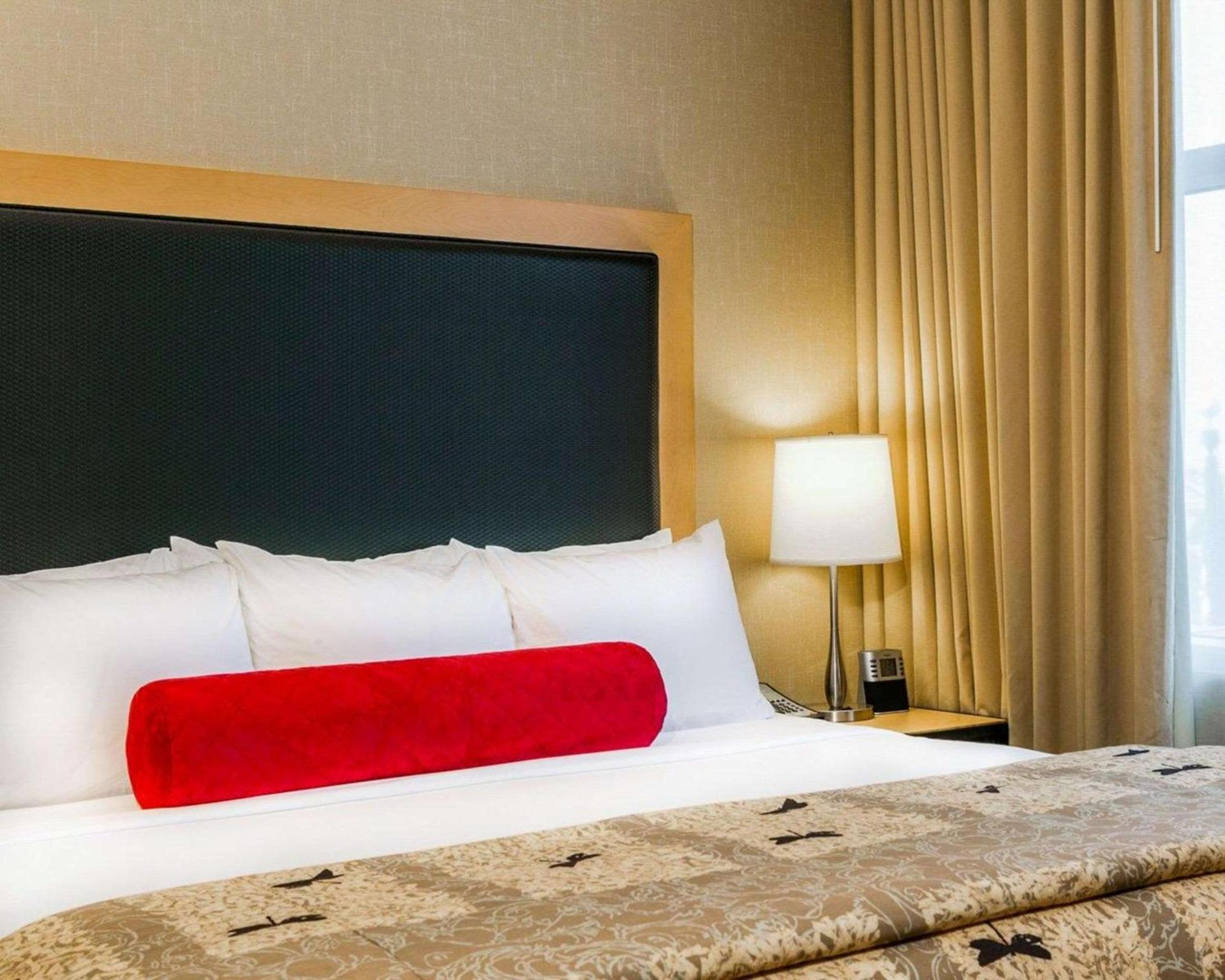 Cambria Hotel Denver International Airport photo 30
