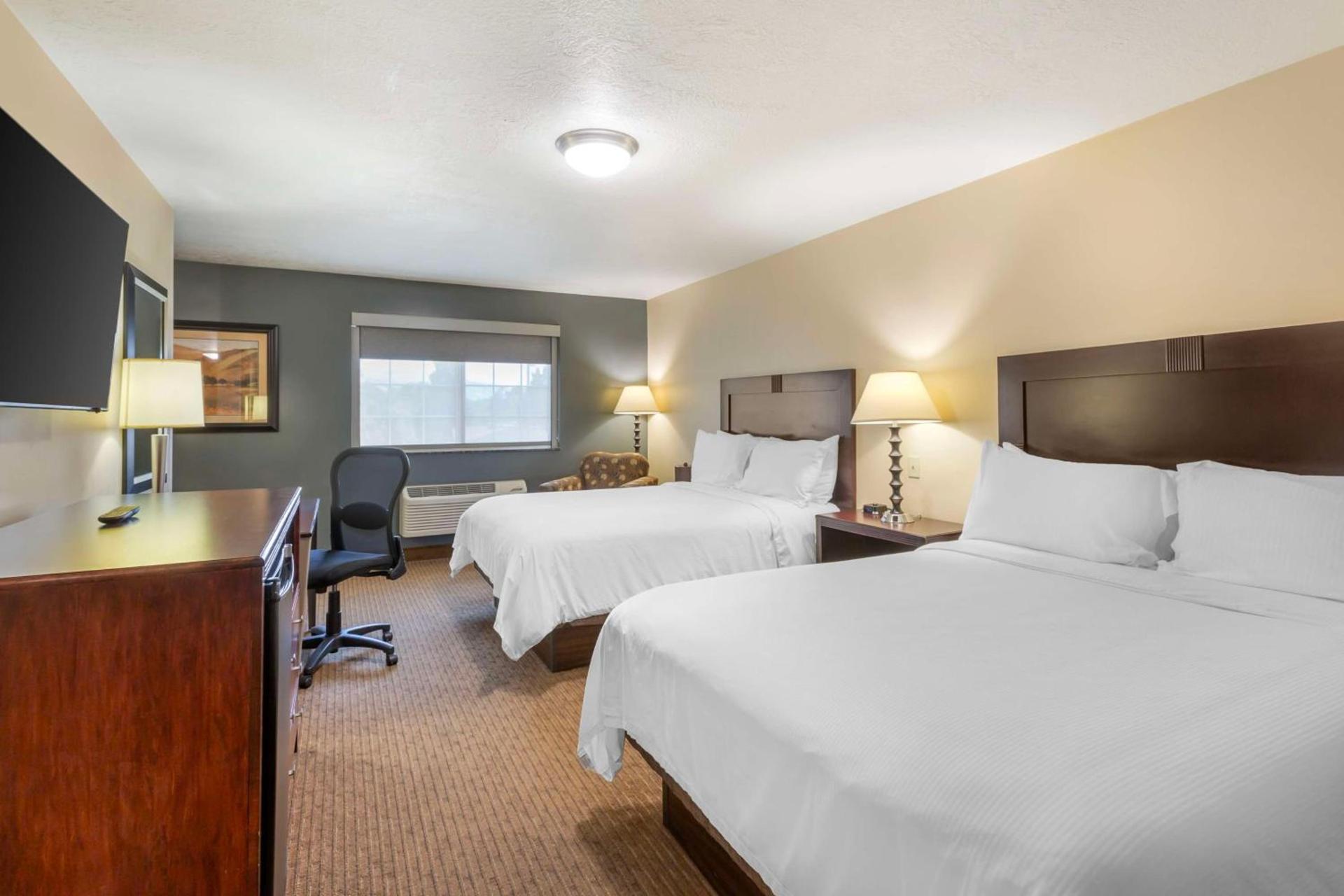 Best Western PLUS Cotton Tree Inn photo 3