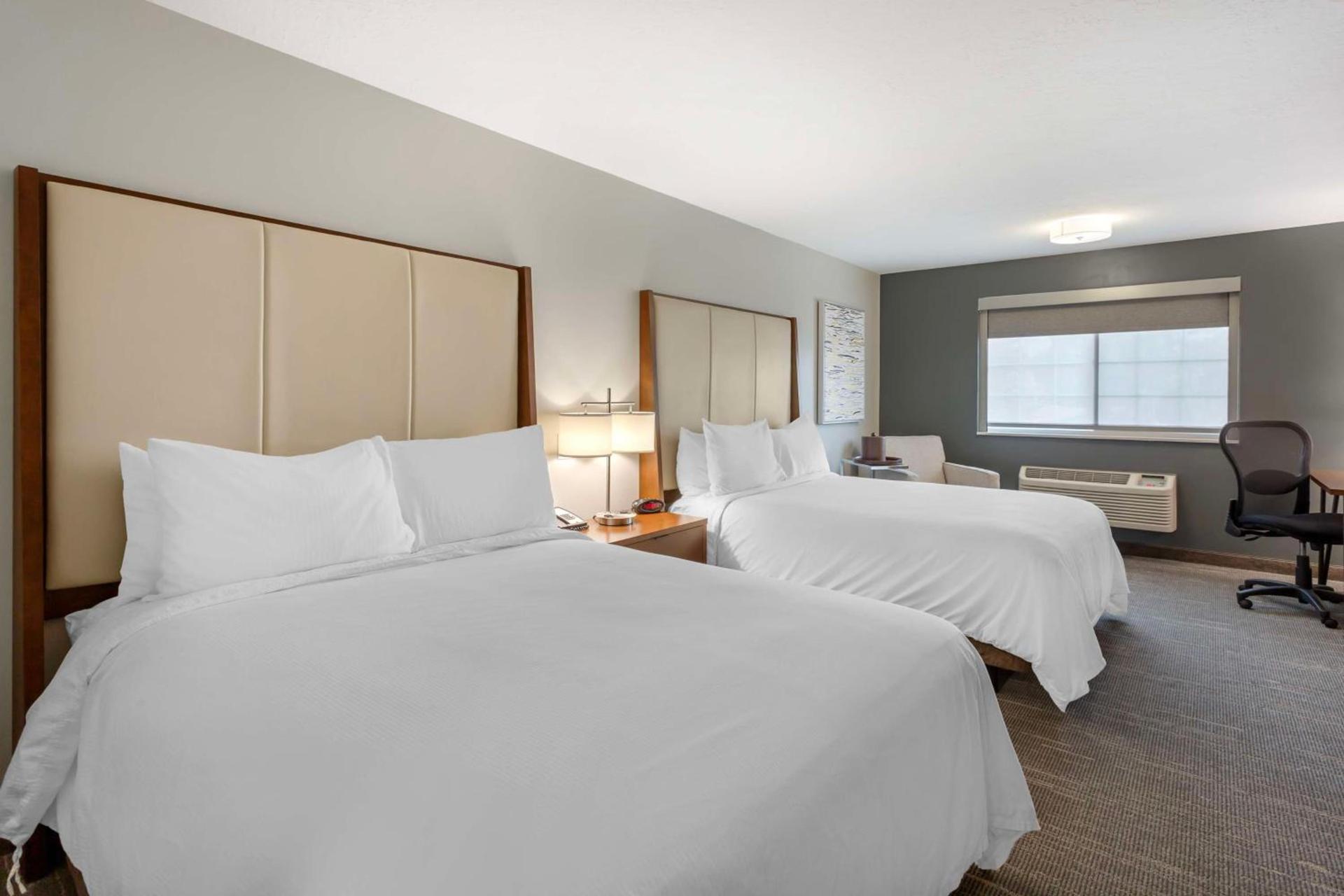 Best Western PLUS Cotton Tree Inn photo 16