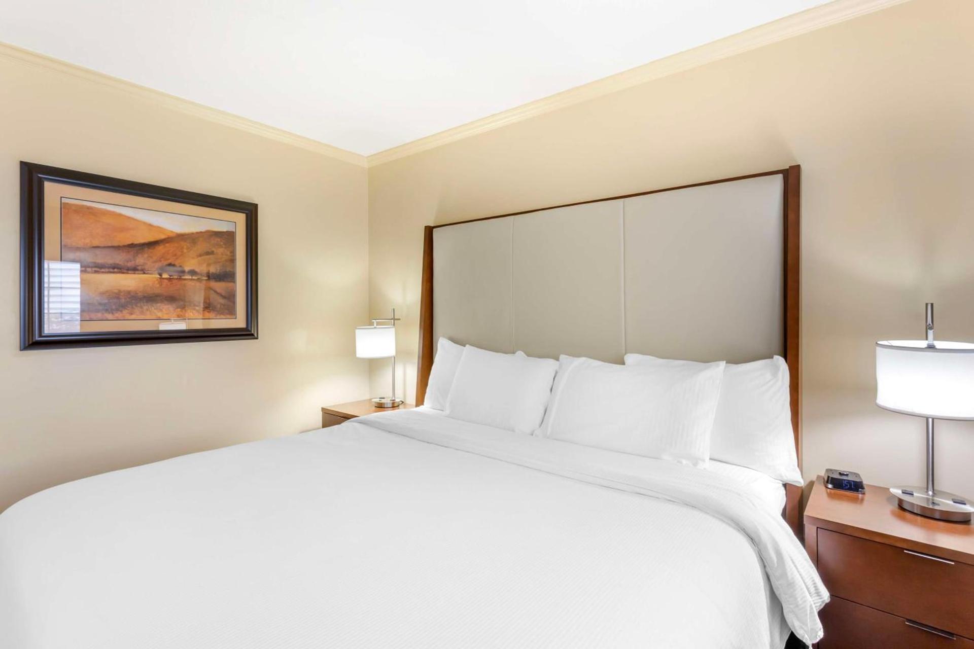 Best Western PLUS Cotton Tree Inn photo 28
