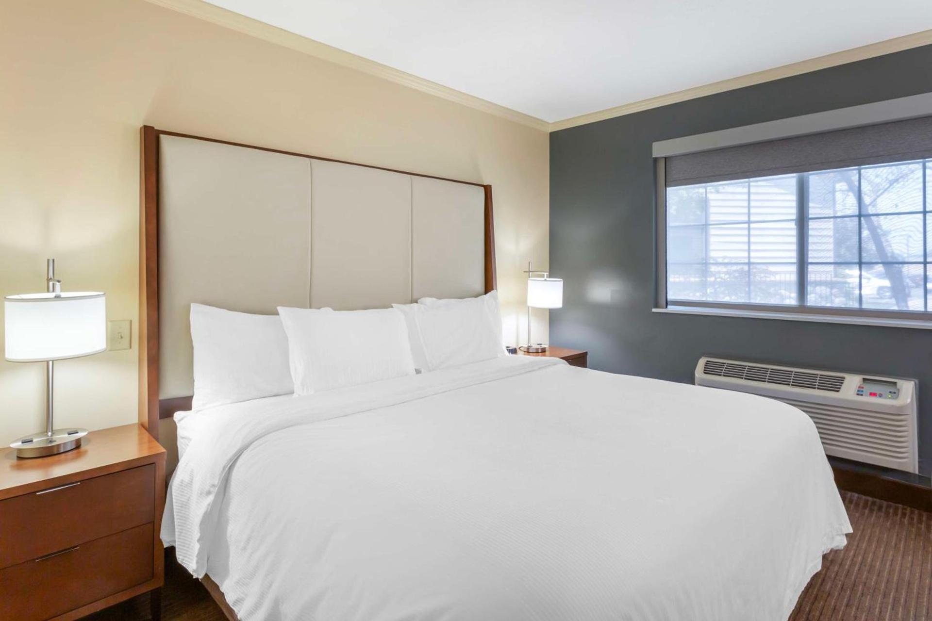 Best Western PLUS Cotton Tree Inn photo 34
