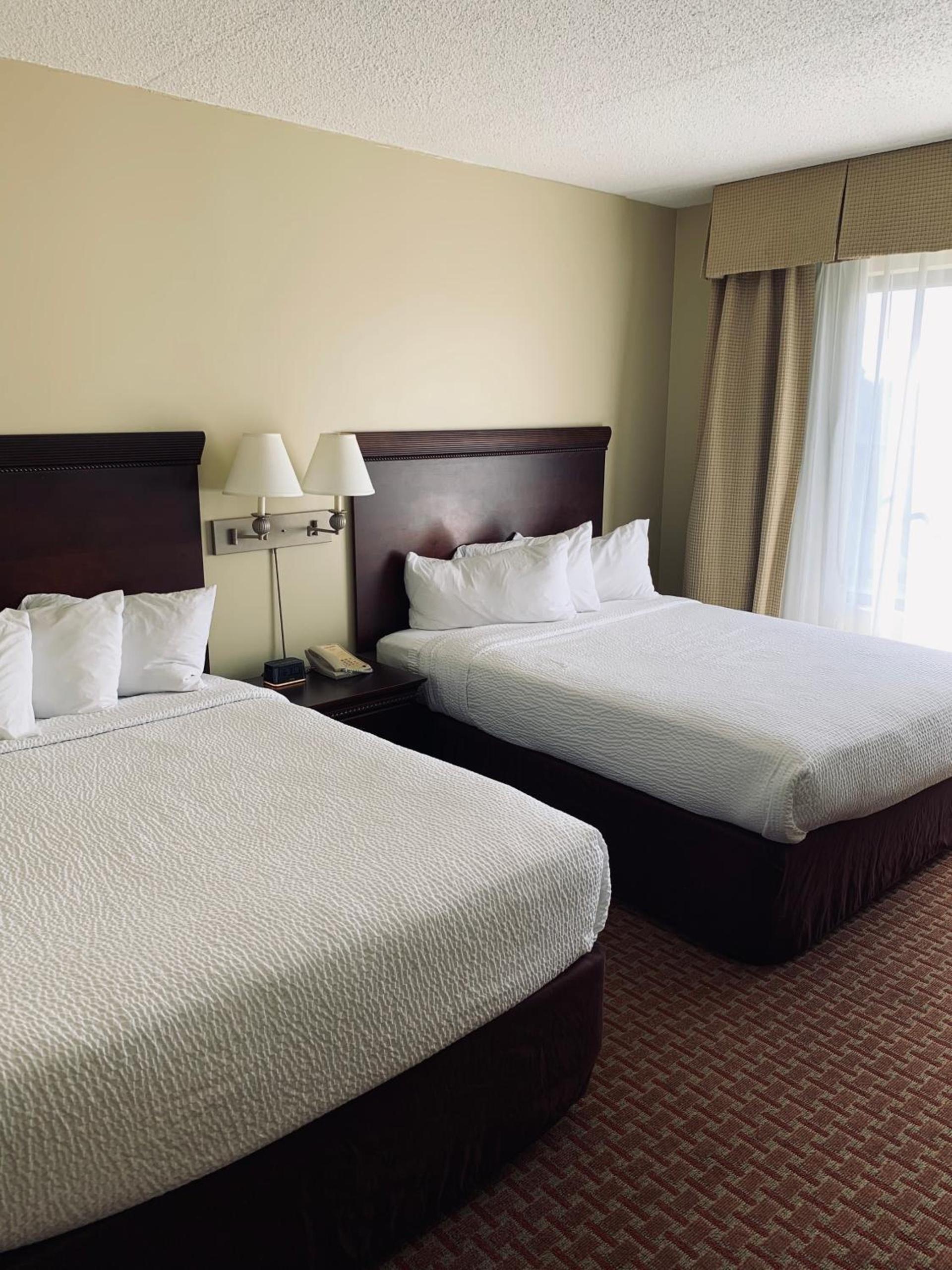 Euro-Suites Hotel photo 8