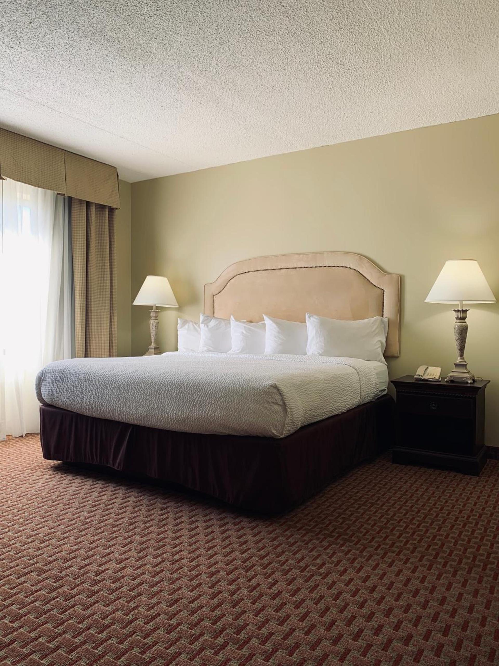 Euro-Suites Hotel photo 9