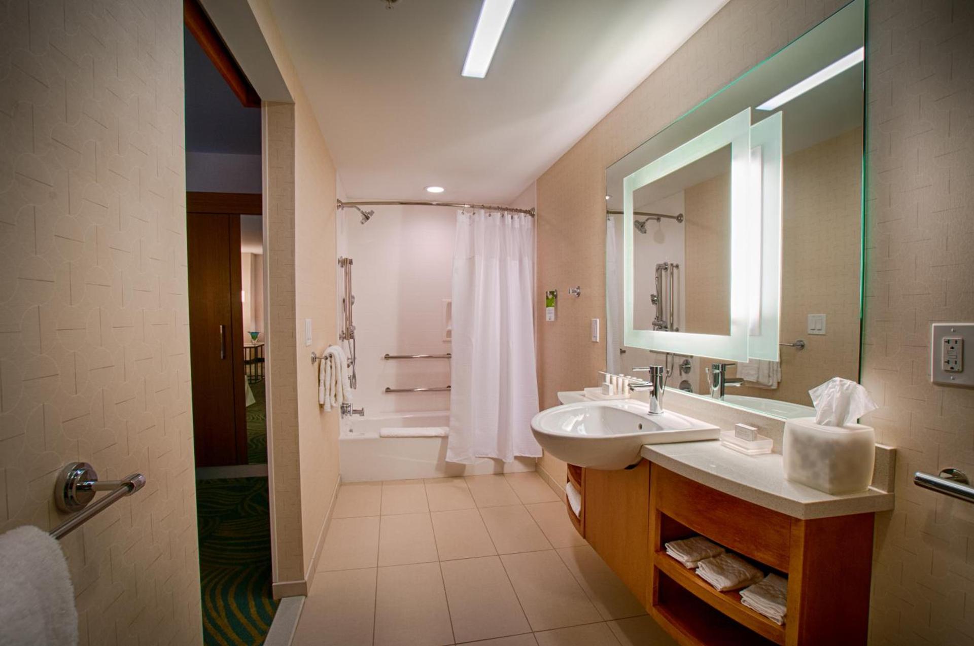 SpringHill Suites by Marriott Canton photo 27