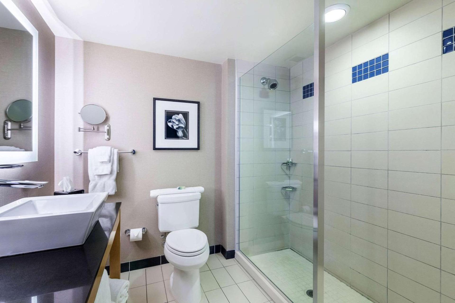 Cambria Hotel Pittsburgh - Downtown photo 15