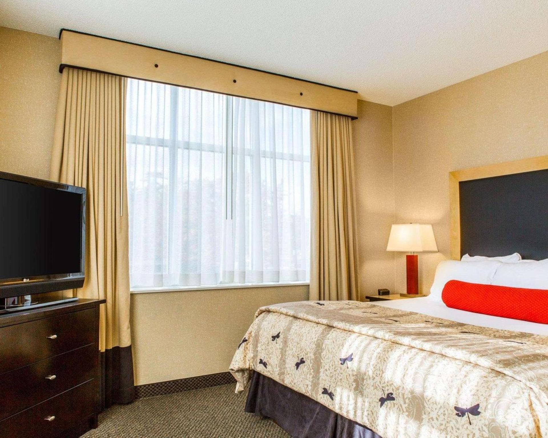Cambria Hotel Traverse City photo 6