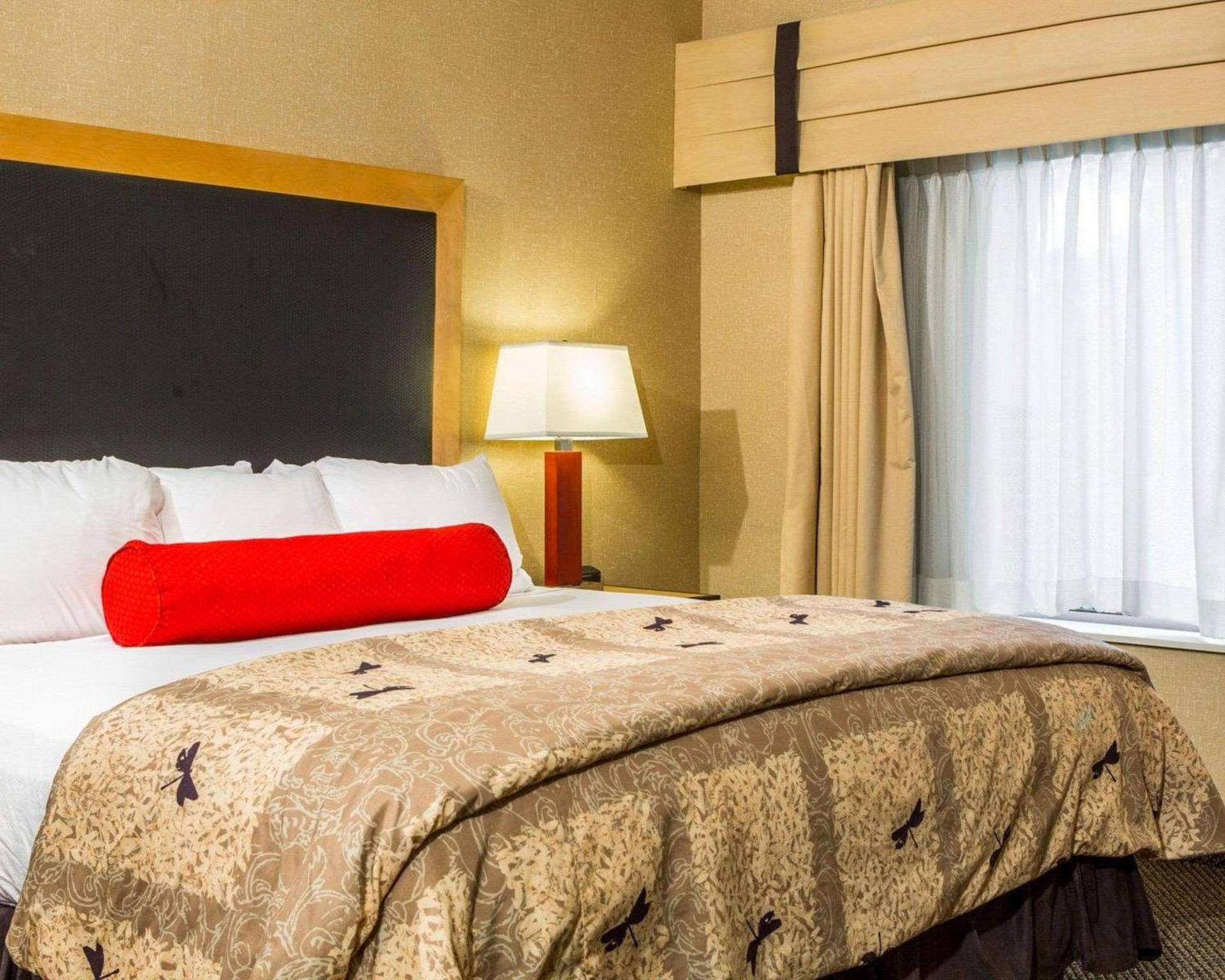 Cambria Hotel Traverse City photo 13