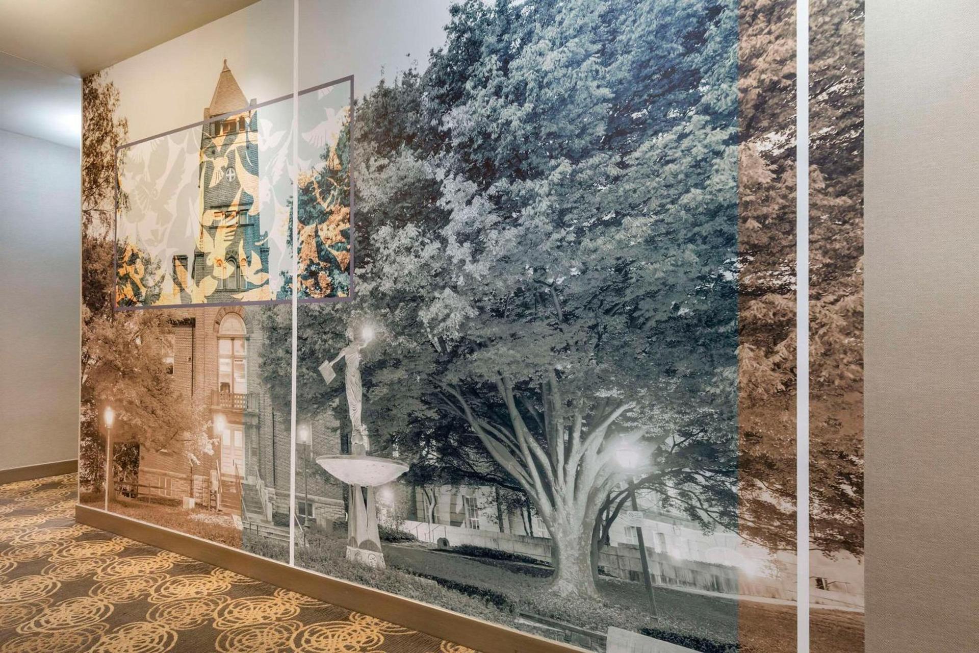 Cambria Hotel Rockville photo 60