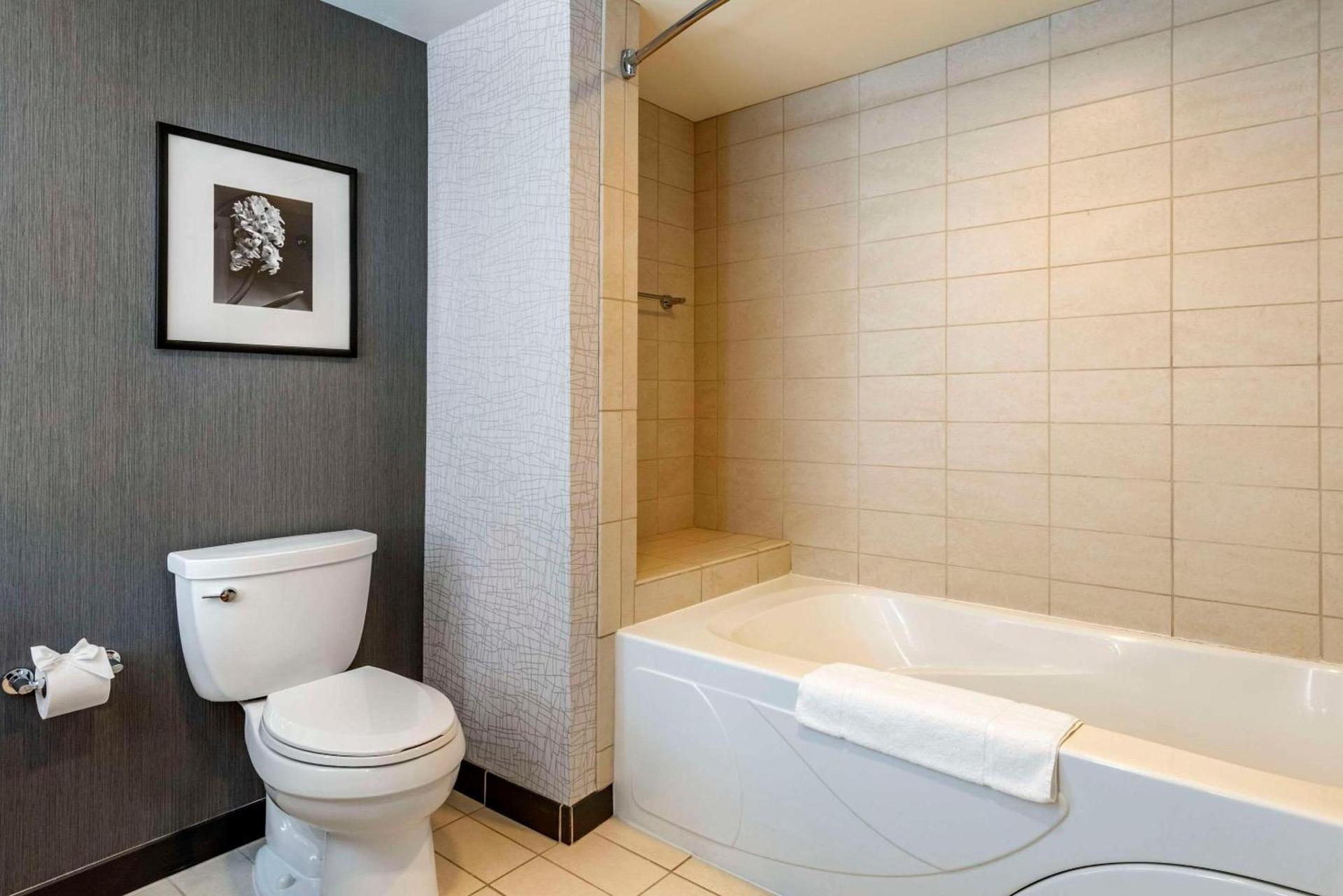 Cambria Hotel Minneapolis Maple Grove photo 11