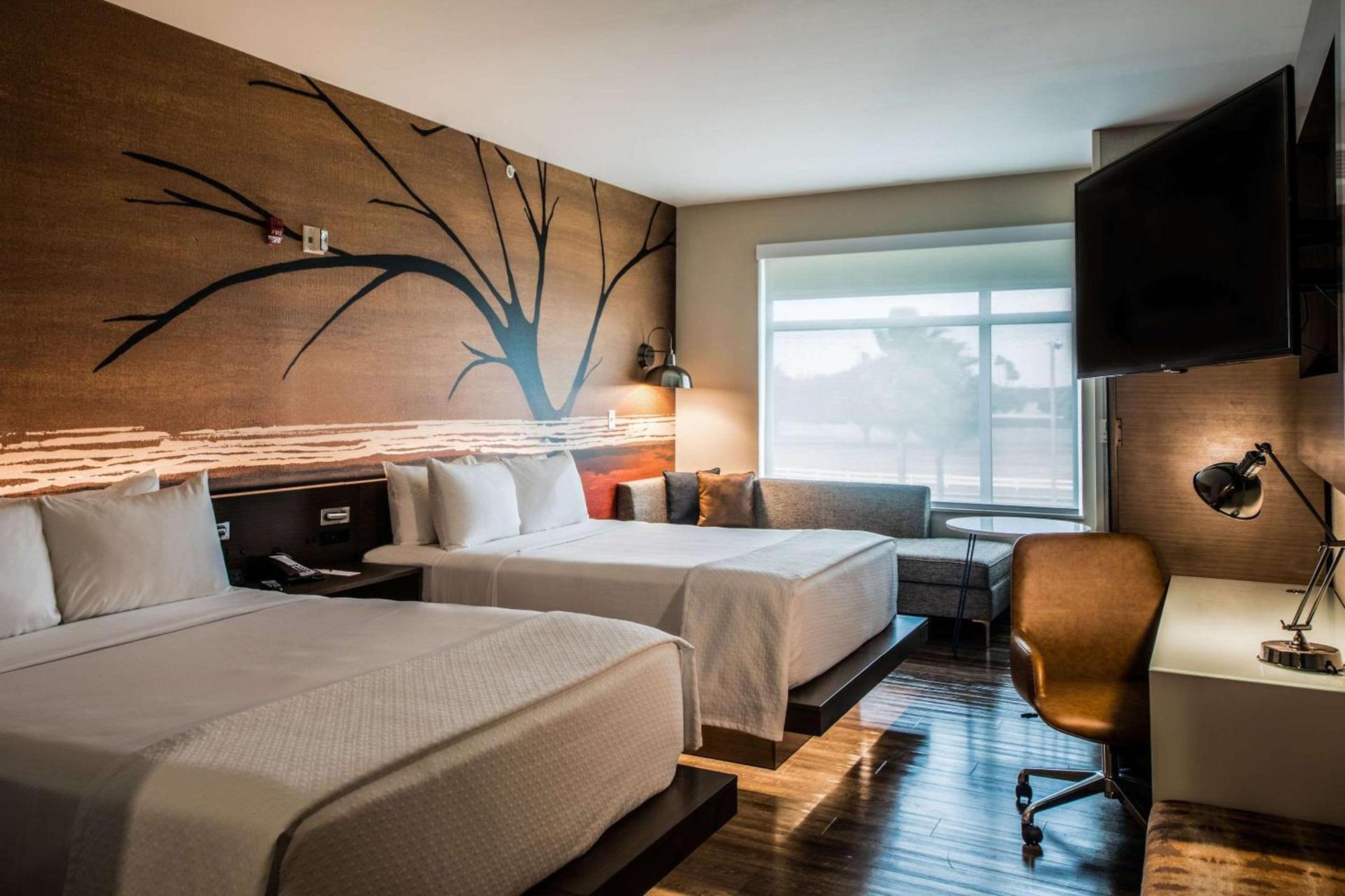 Cambria Hotel McAllen Convention Center photo 51