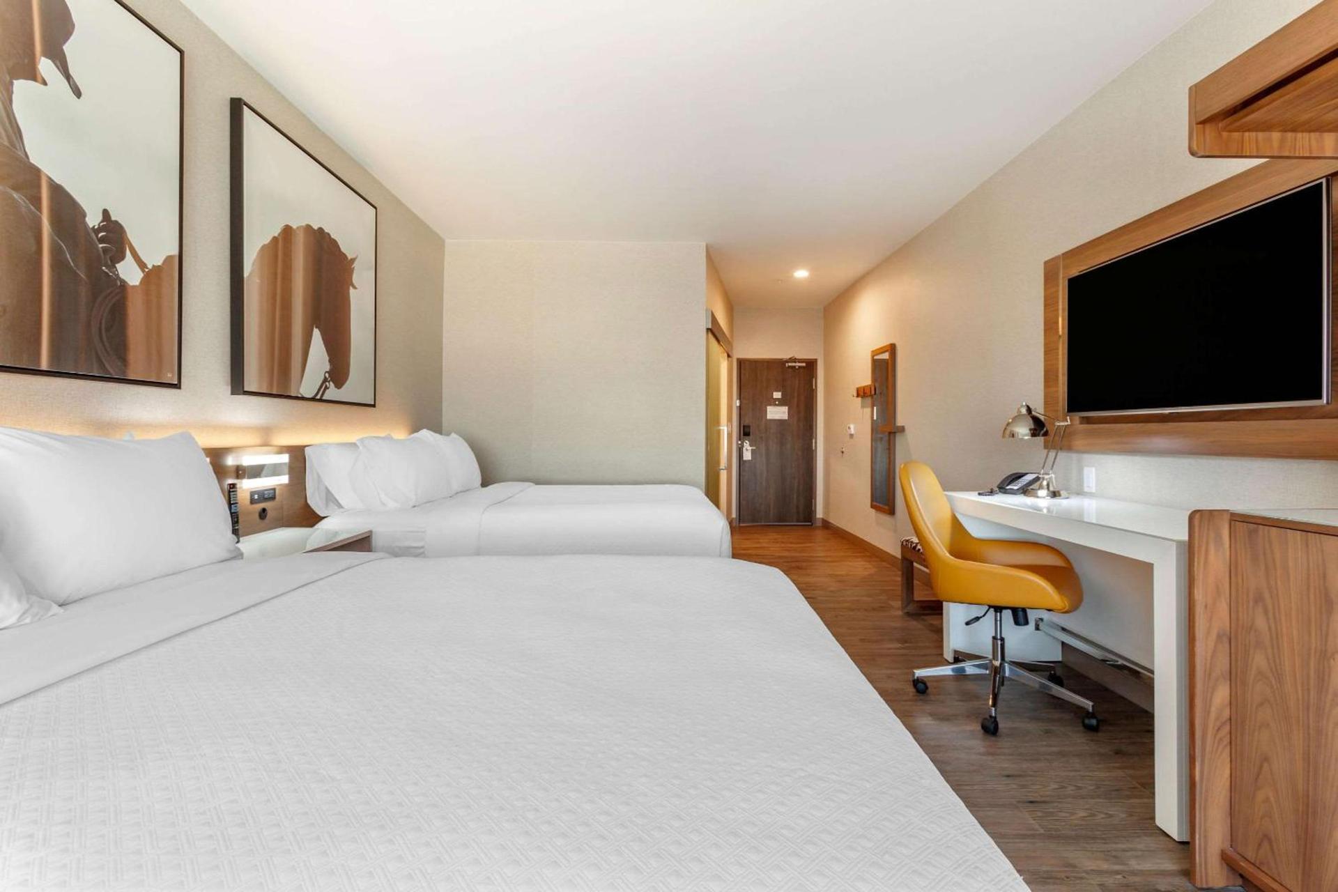 Cambria Hotel Plano - Richardson Garland photo 14