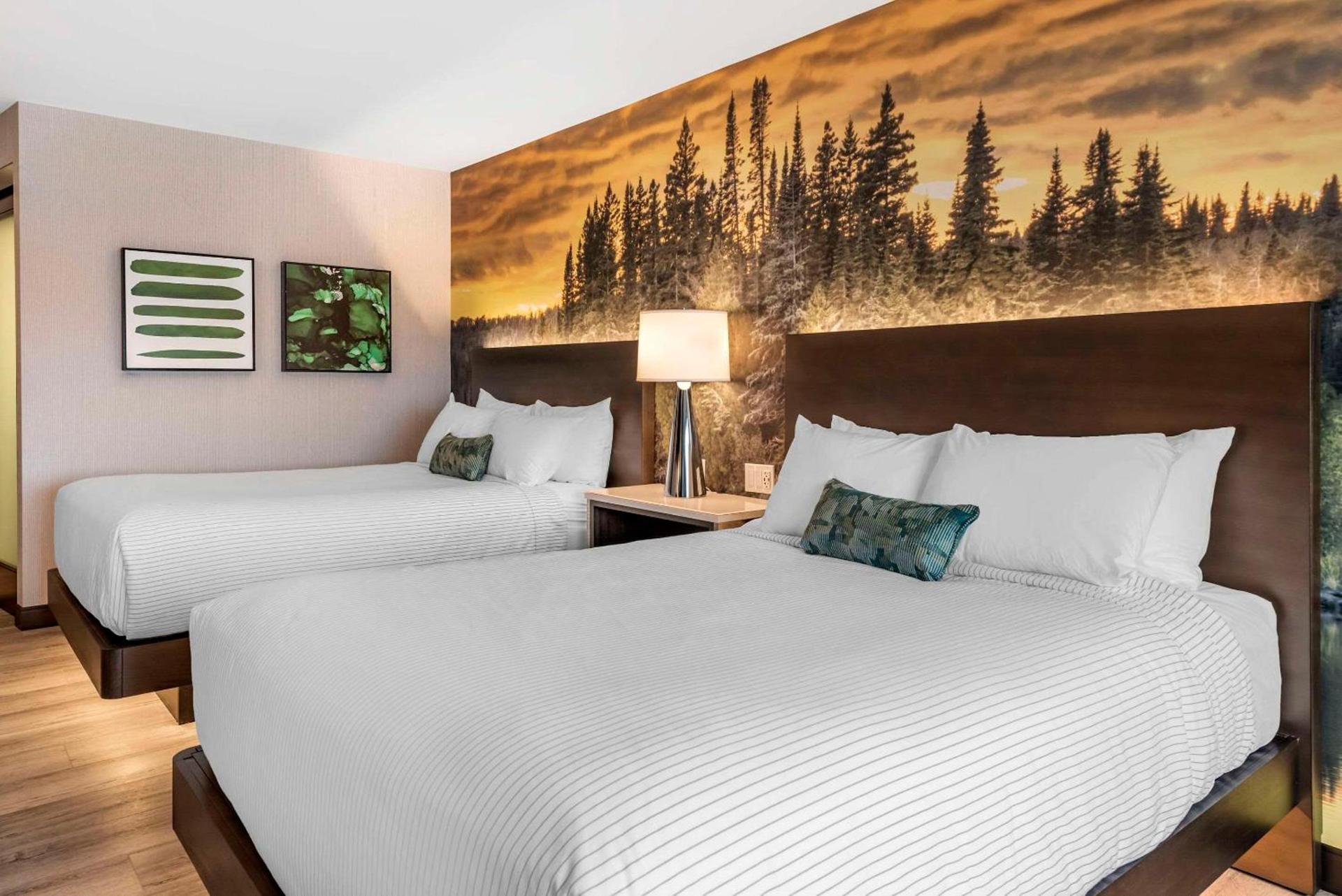 Cambria Hotel Shelby Township - Detroit Utica photo 14