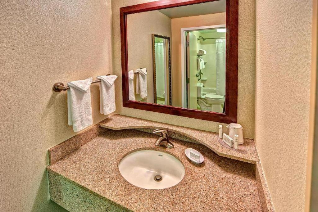 SpringHill Suites Norfolk Old Dominion University photo 19