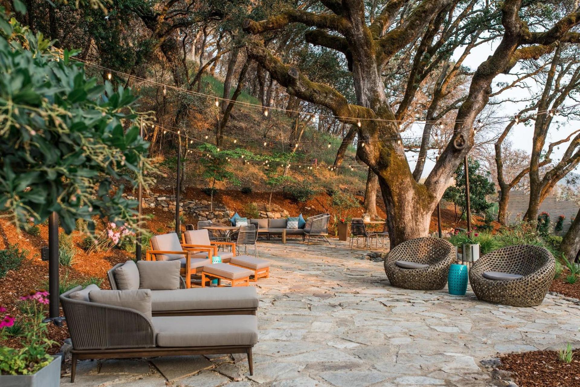 Olea Hotel photo 29