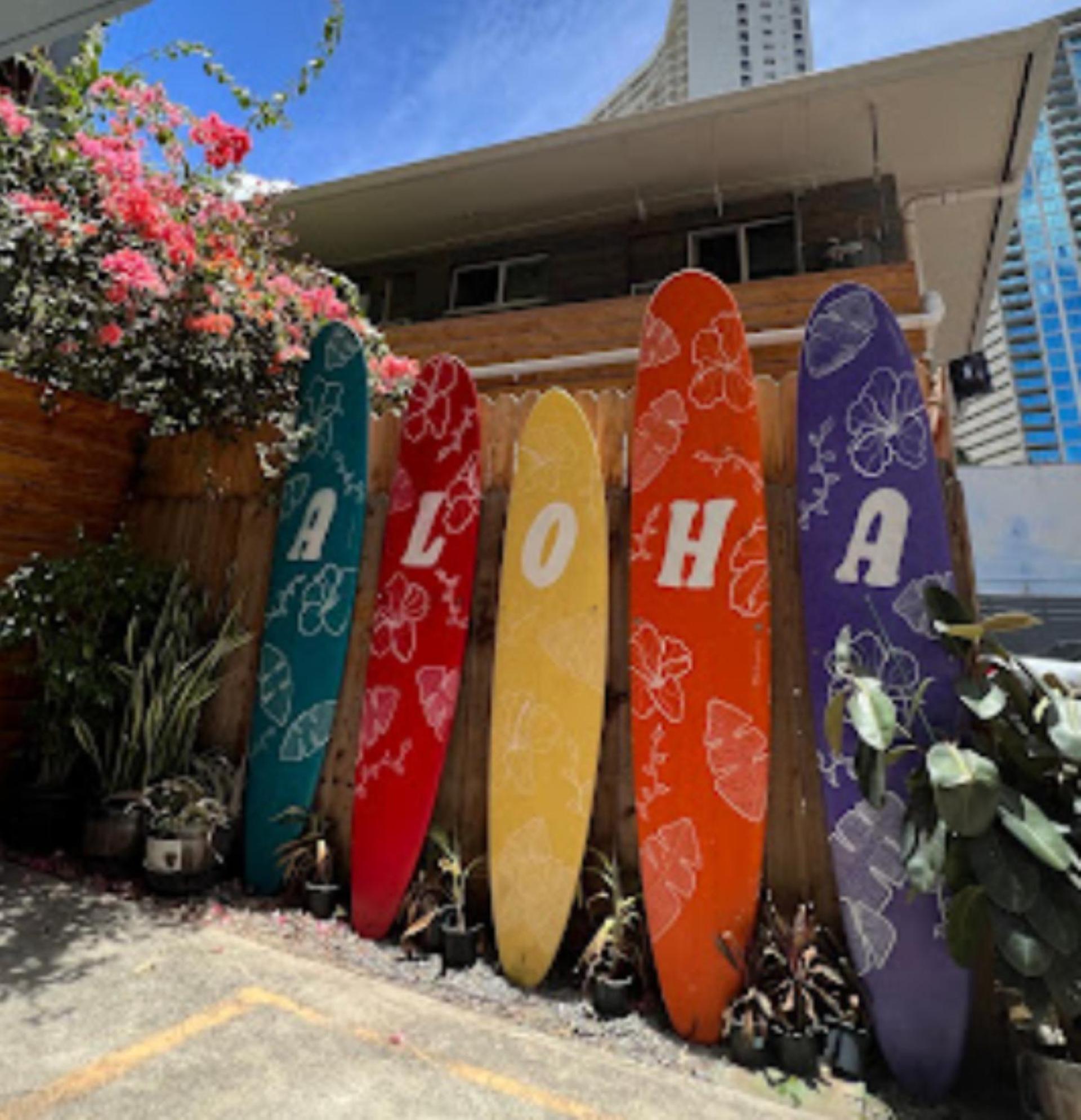 Honu Waikiki by ALOH photo 13