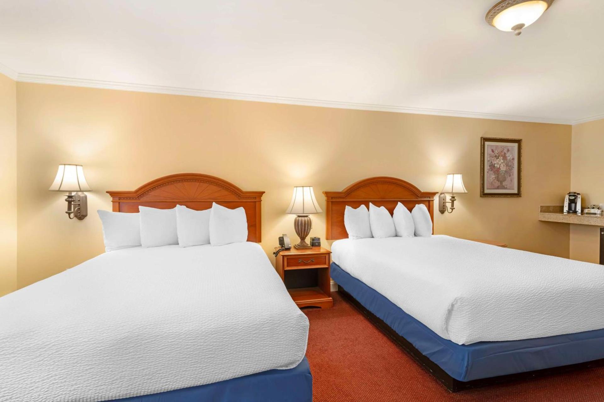 Best Western White House Inn photo 80