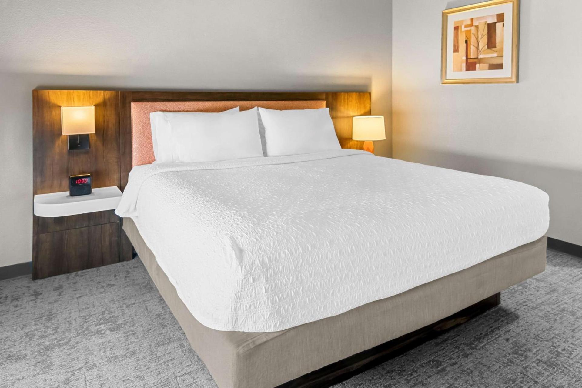 Hampton Inn & Suites Abilene I-20 photo 17