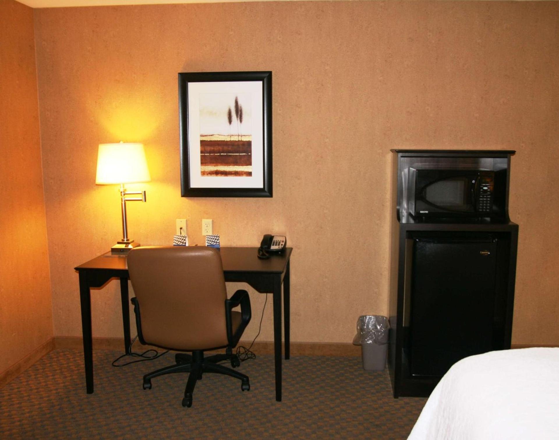 Hampton Inn and Suites Barstow photo 31