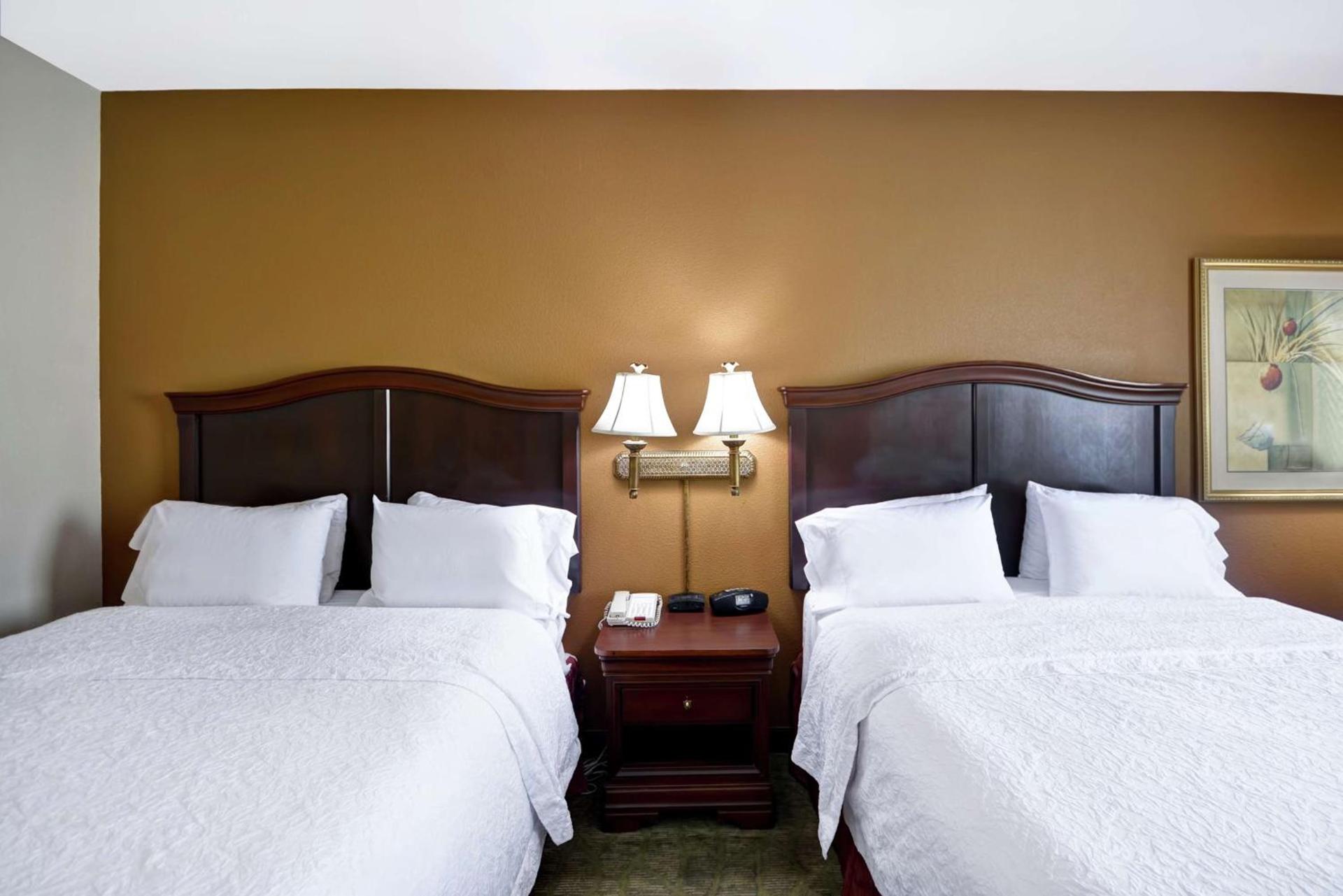 Hampton Inn Corpus Christi-Northwest I-37 photo 20
