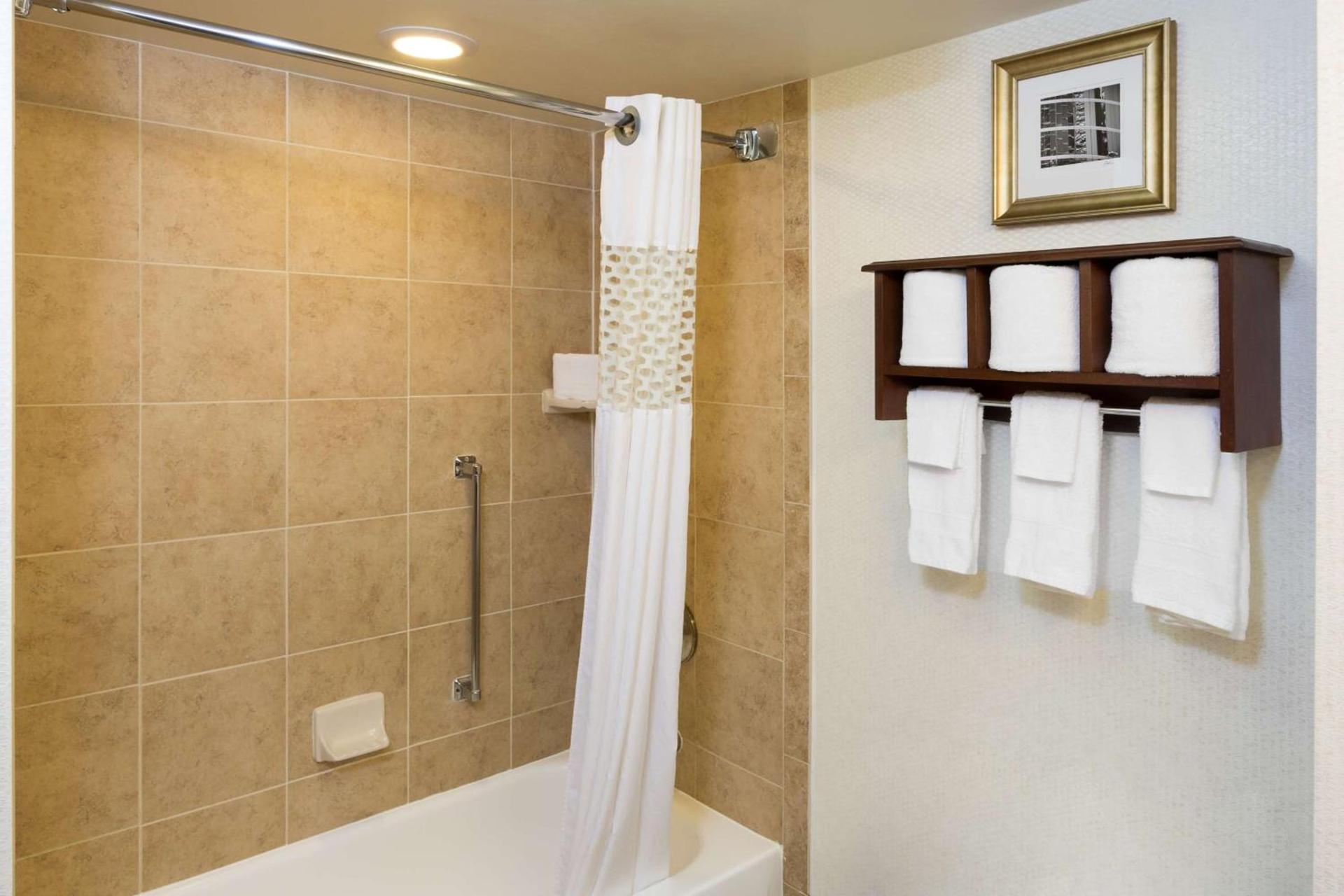 Hampton Inn Houston Near the Galleria photo 11