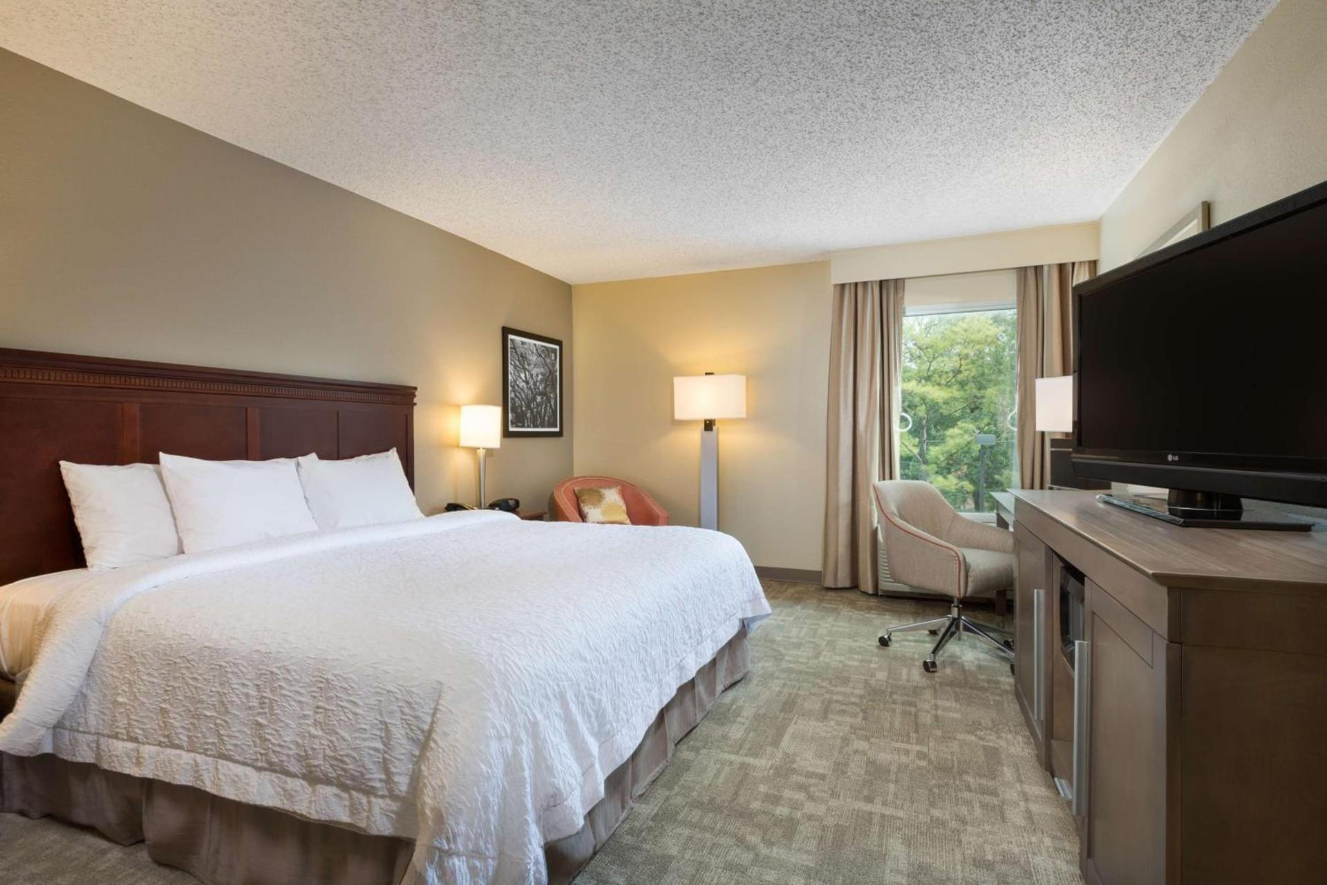 Hampton Inn Houston Near the Galleria photo 12