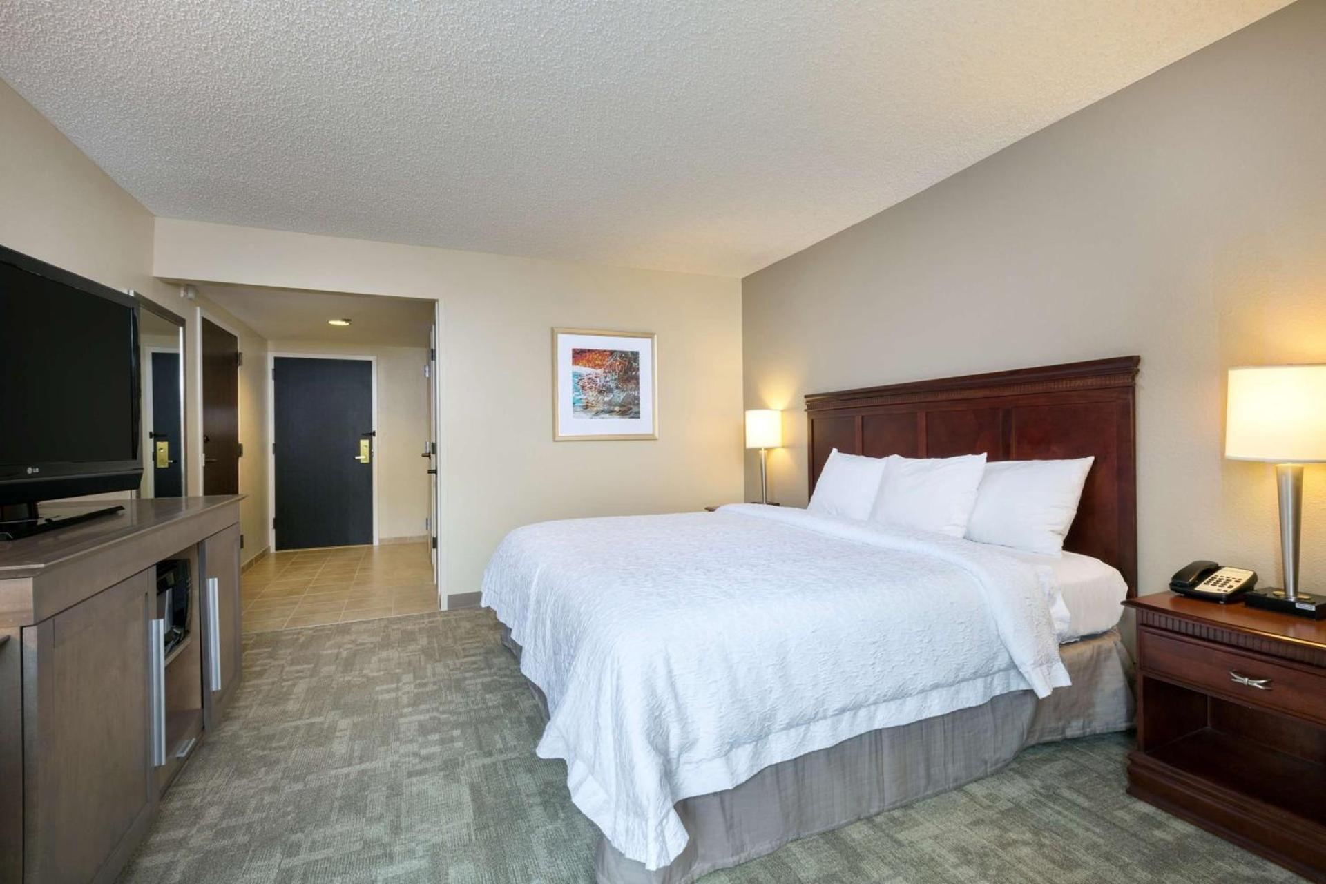 Hampton Inn Houston Near the Galleria photo 14