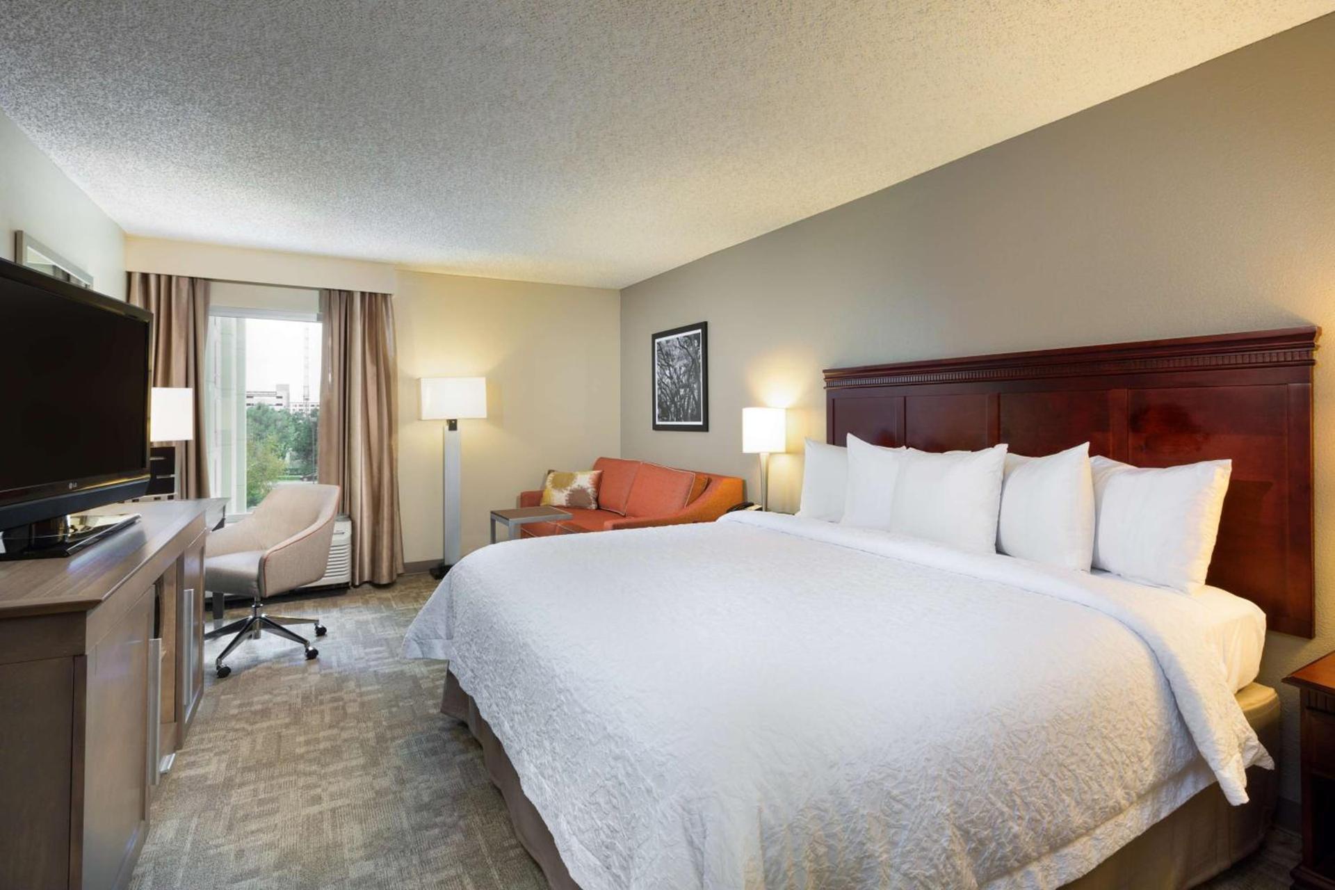 Hampton Inn Houston Near the Galleria photo 22