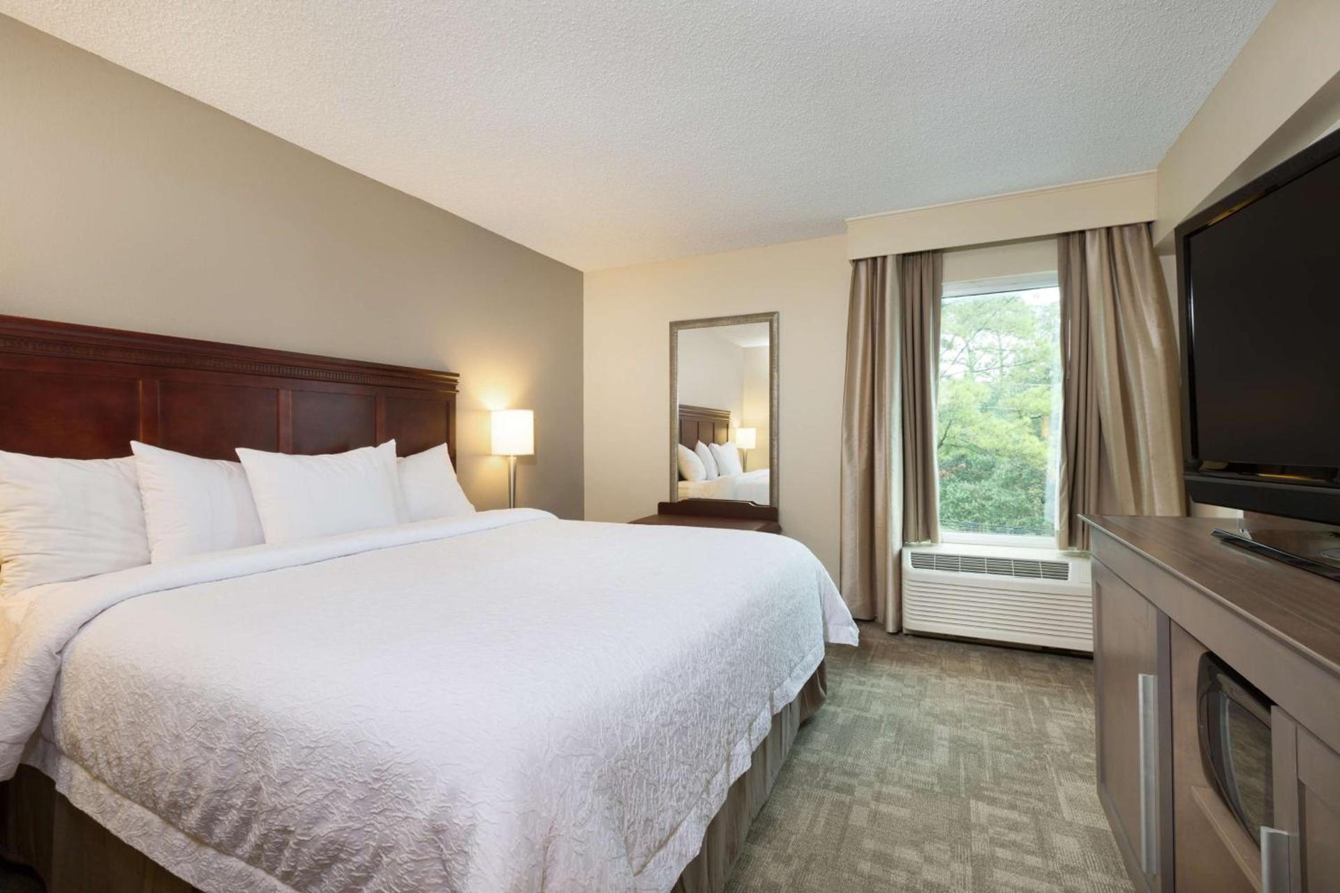 Hampton Inn Houston Near the Galleria photo 24