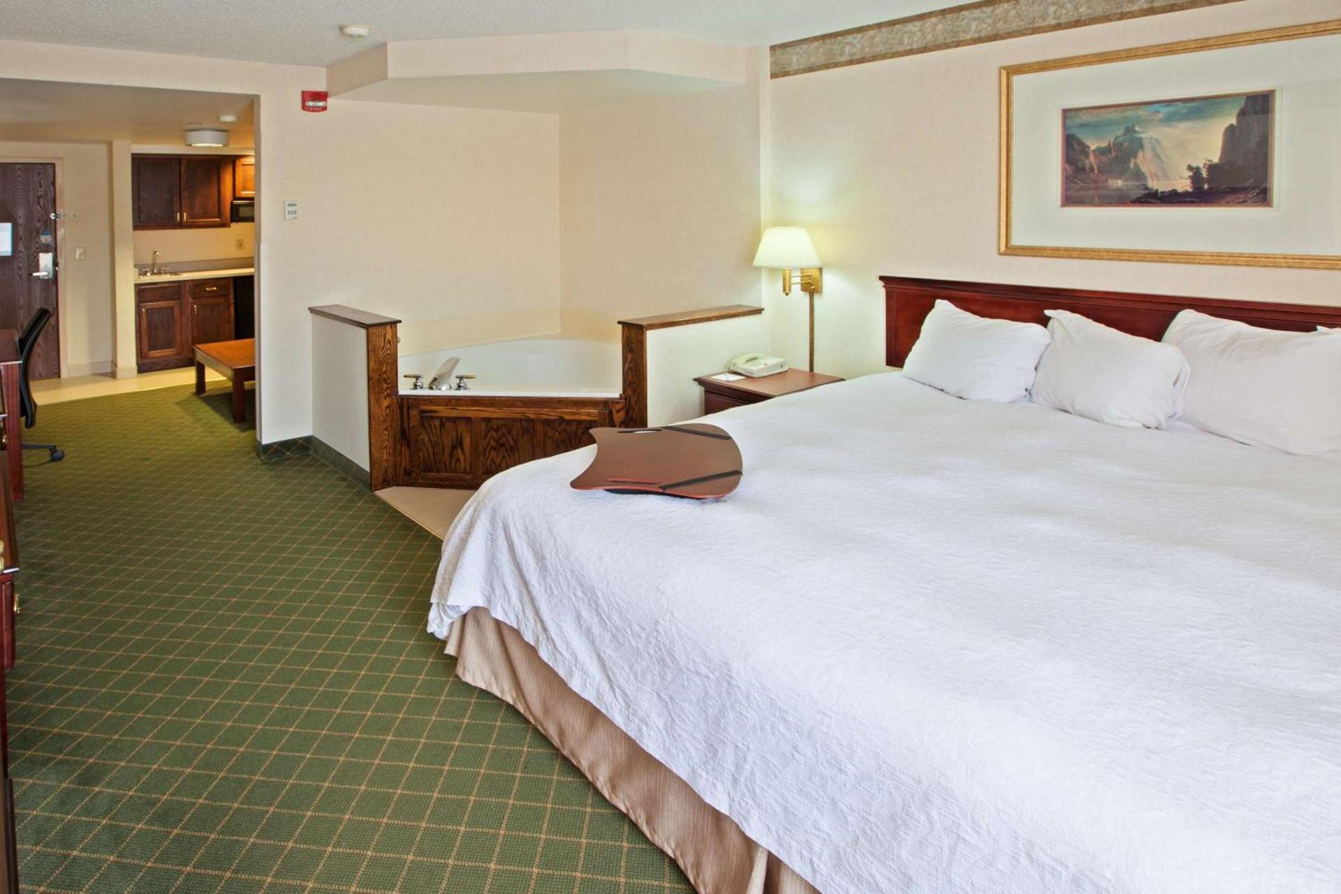 Hampton Inn Marietta photo 3