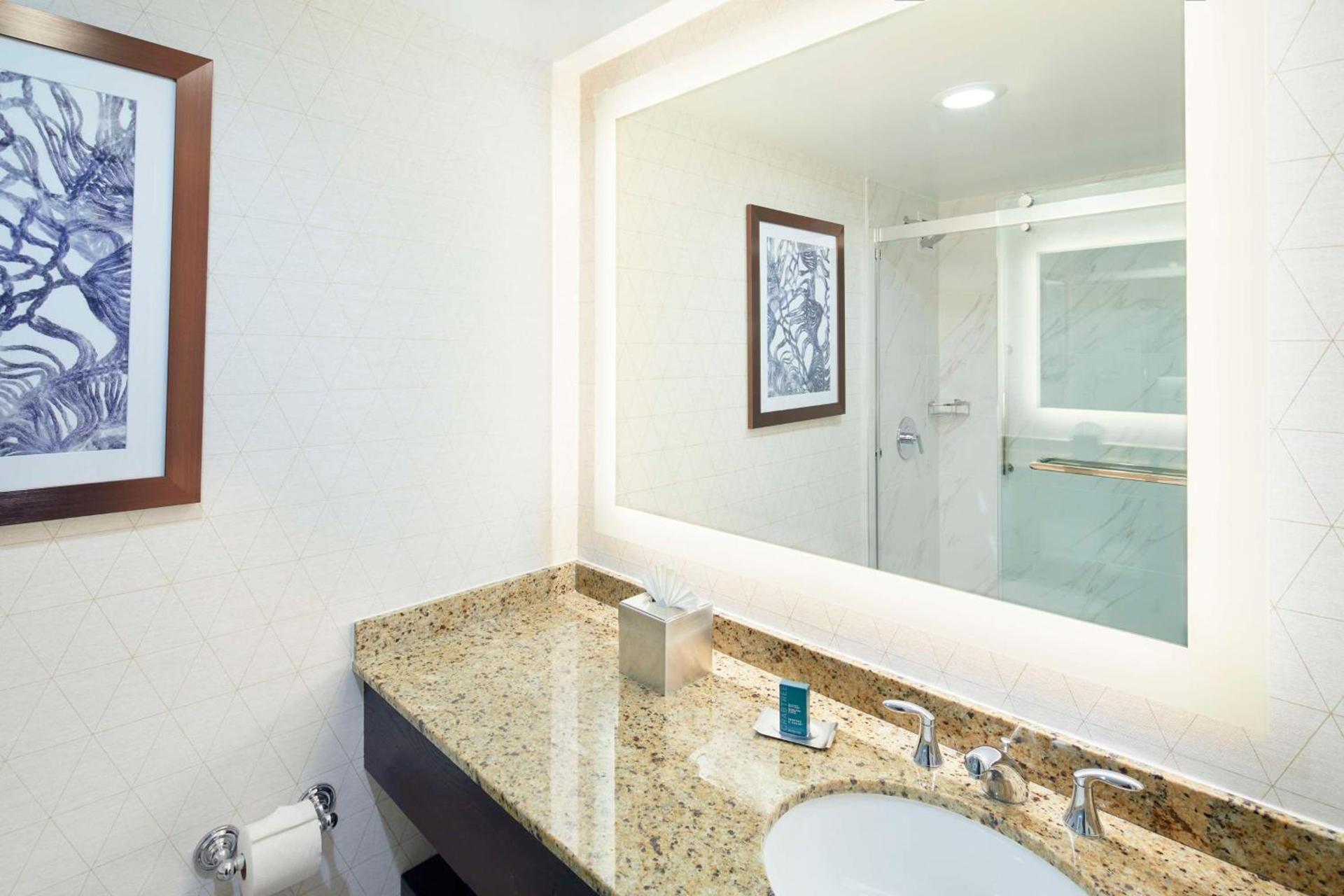 DoubleTree by Hilton Atlanta/Roswell - Alpharetta Area photo 48